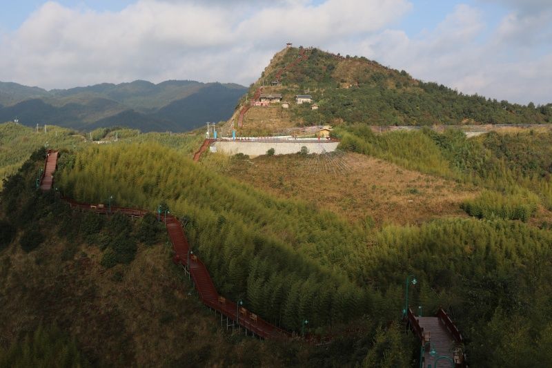 大洞竹海景区旅行图片