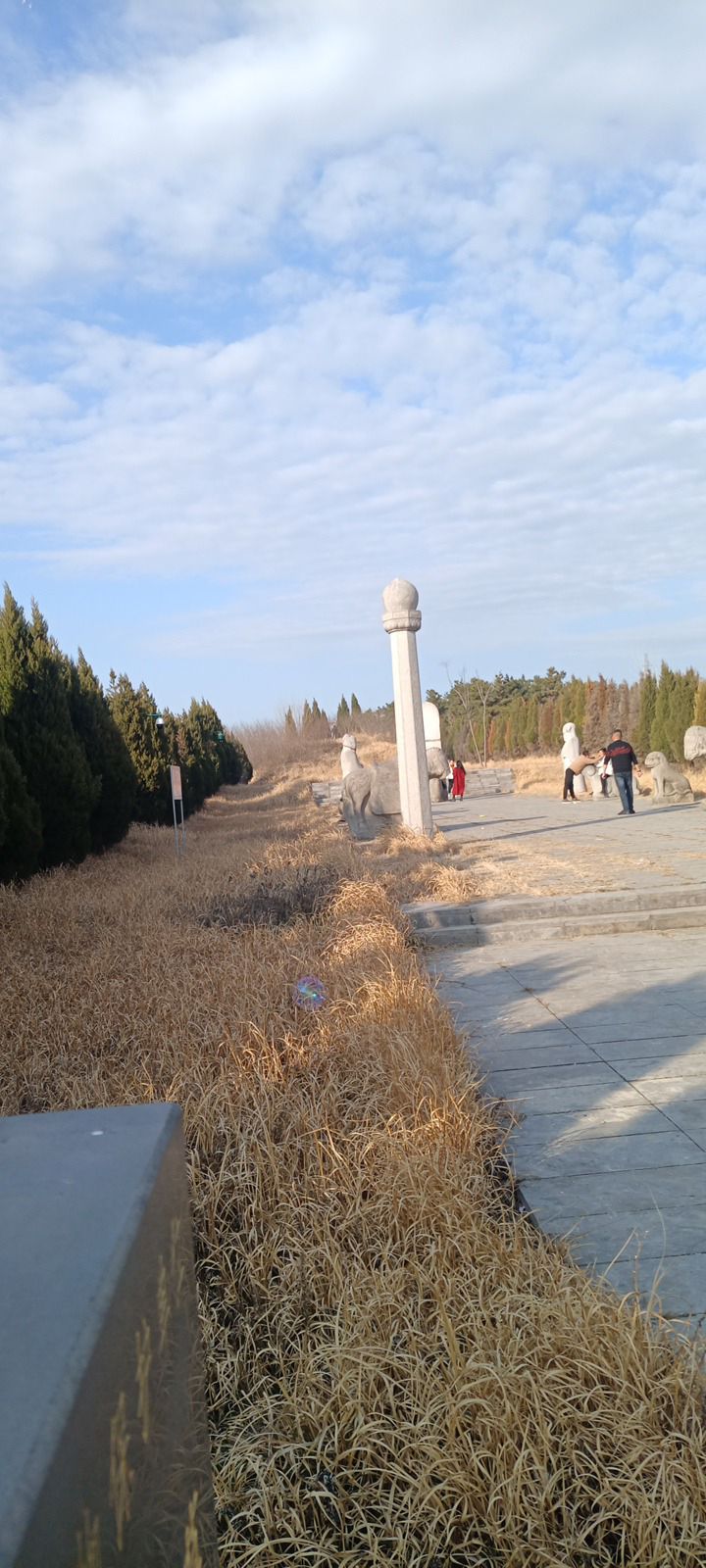 化明塘严氏墓旅行图片