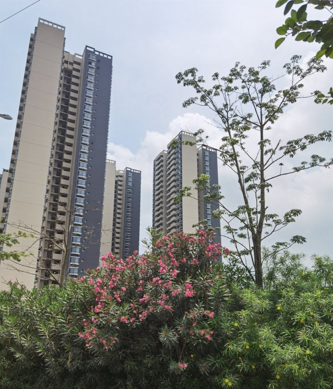 玉林市江滨公园