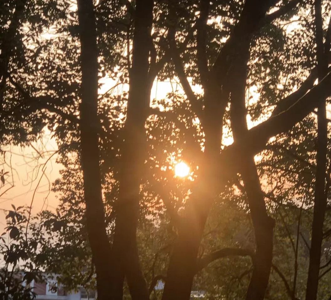 玉林市江滨公园旅行图片