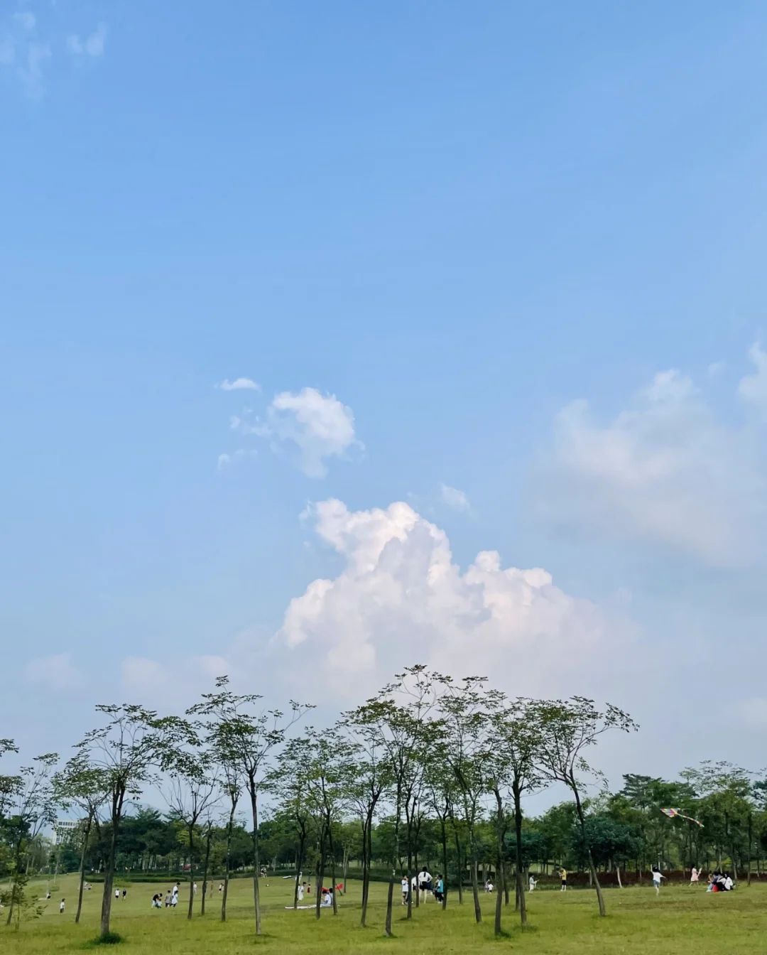 蝶采园旅行图片