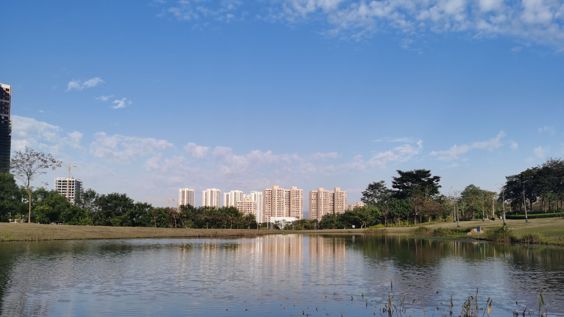 蝶采园旅行图片