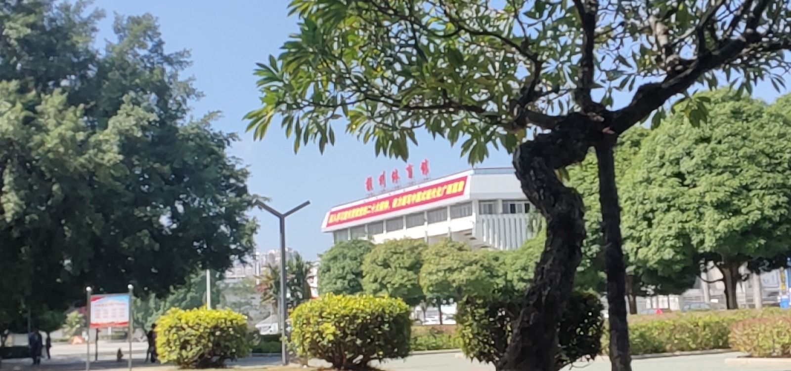 横州市体育中心广场旅行图片