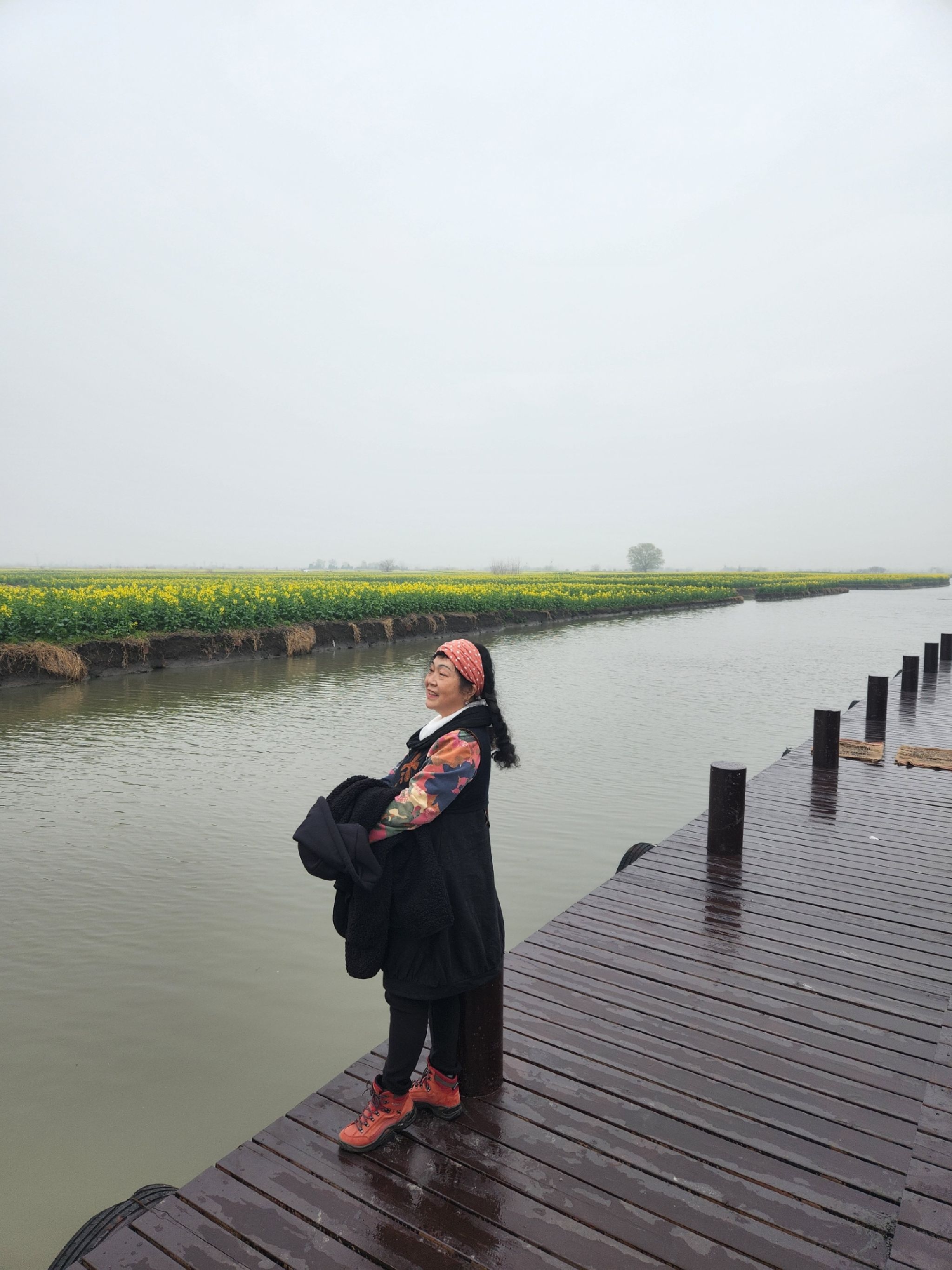 台儿庄油菜花海景观