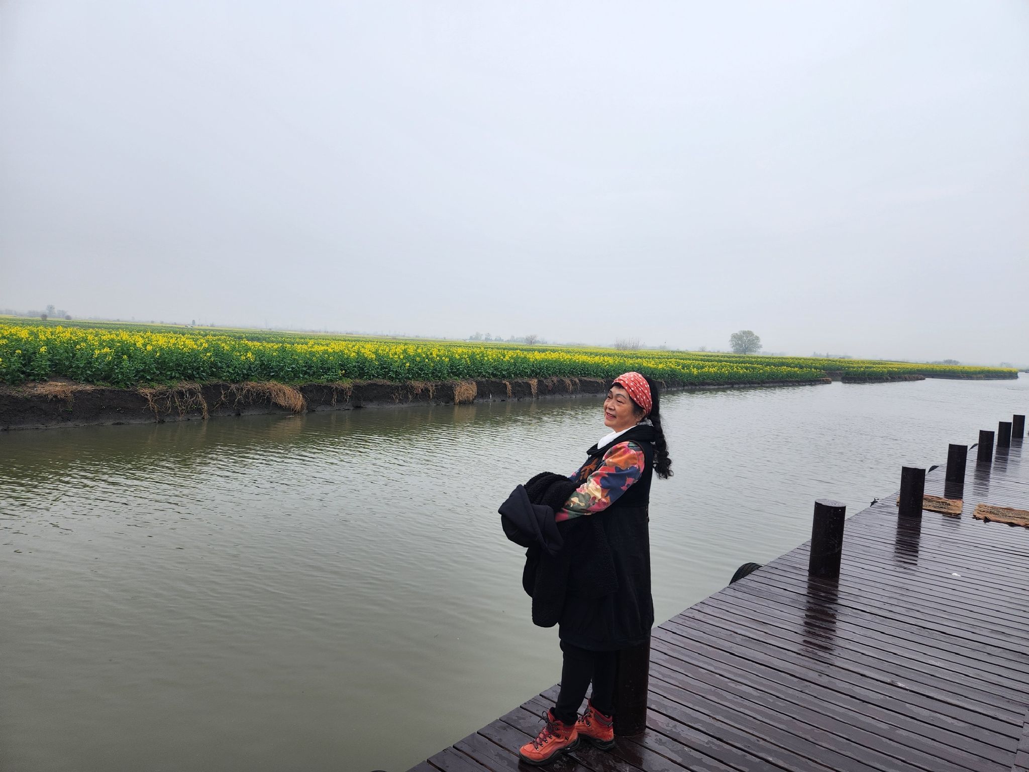 台儿庄油菜花海景观旅行图片