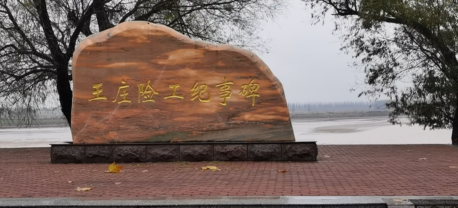 王庄险工