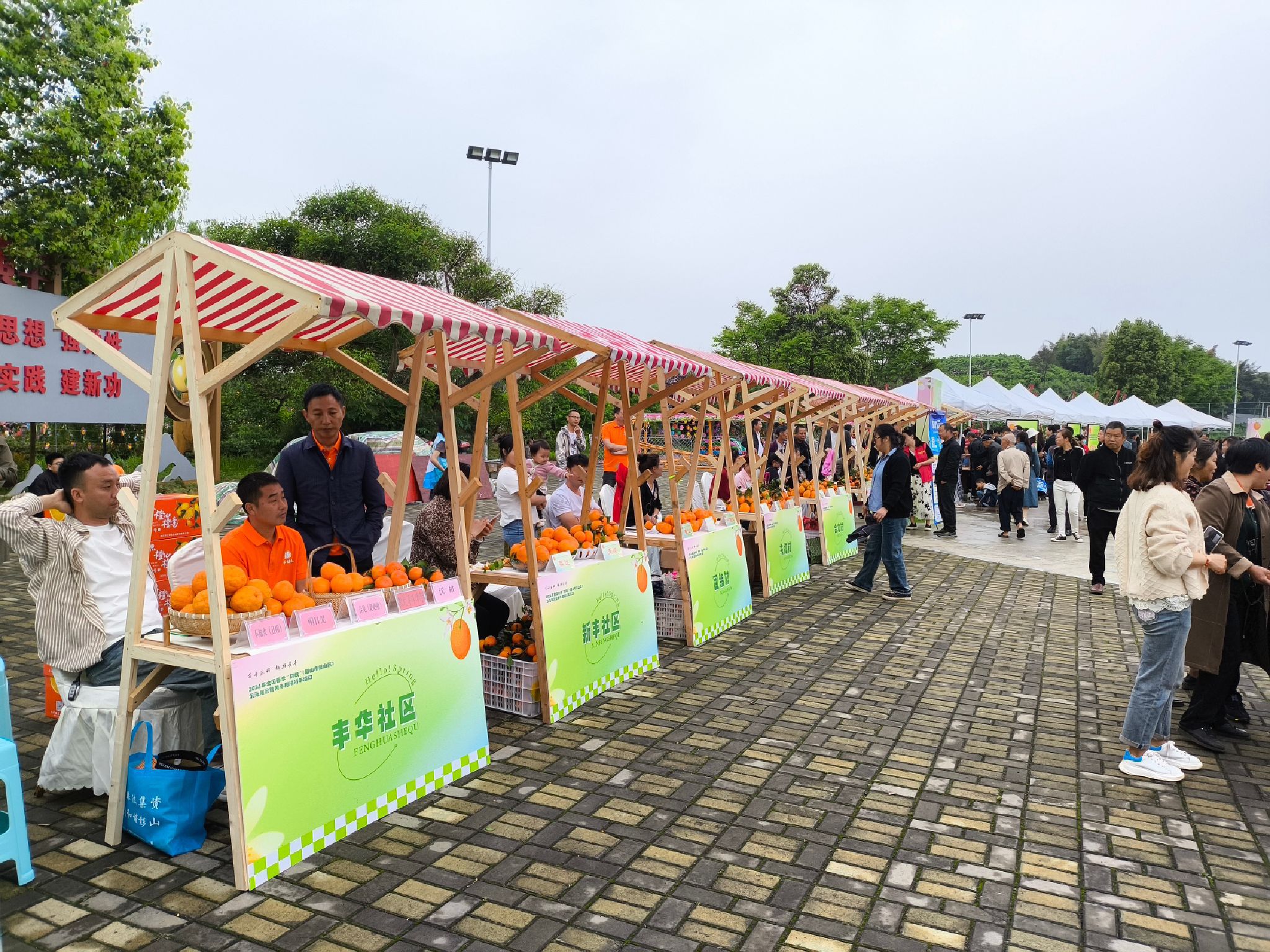 团结村橘花广场