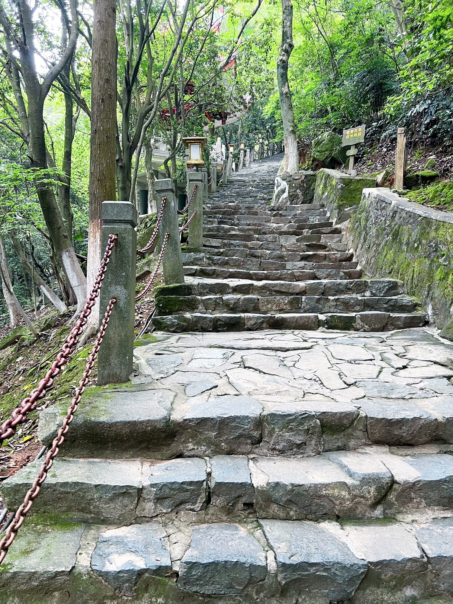 仙公山风景区旅行图片