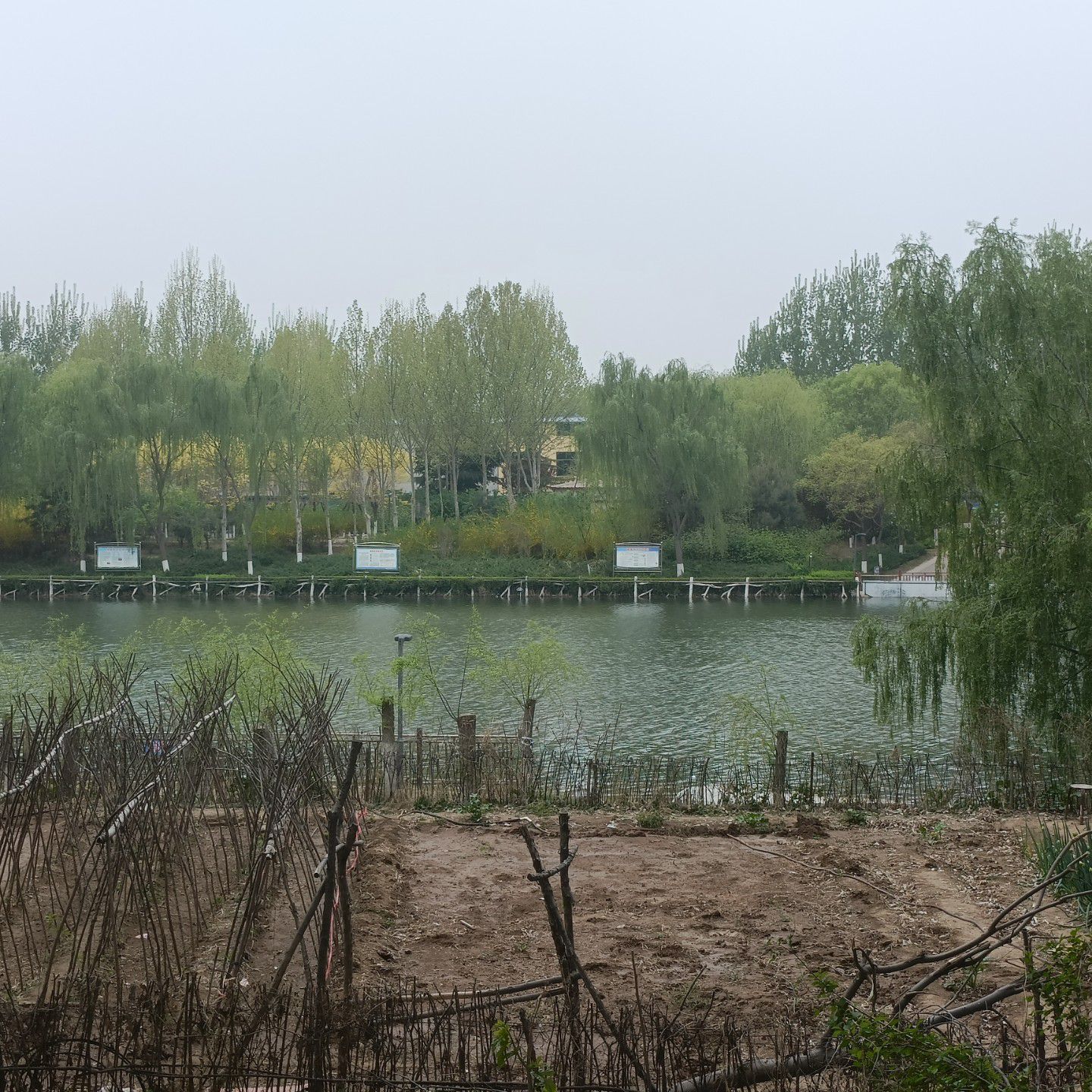 清河公园