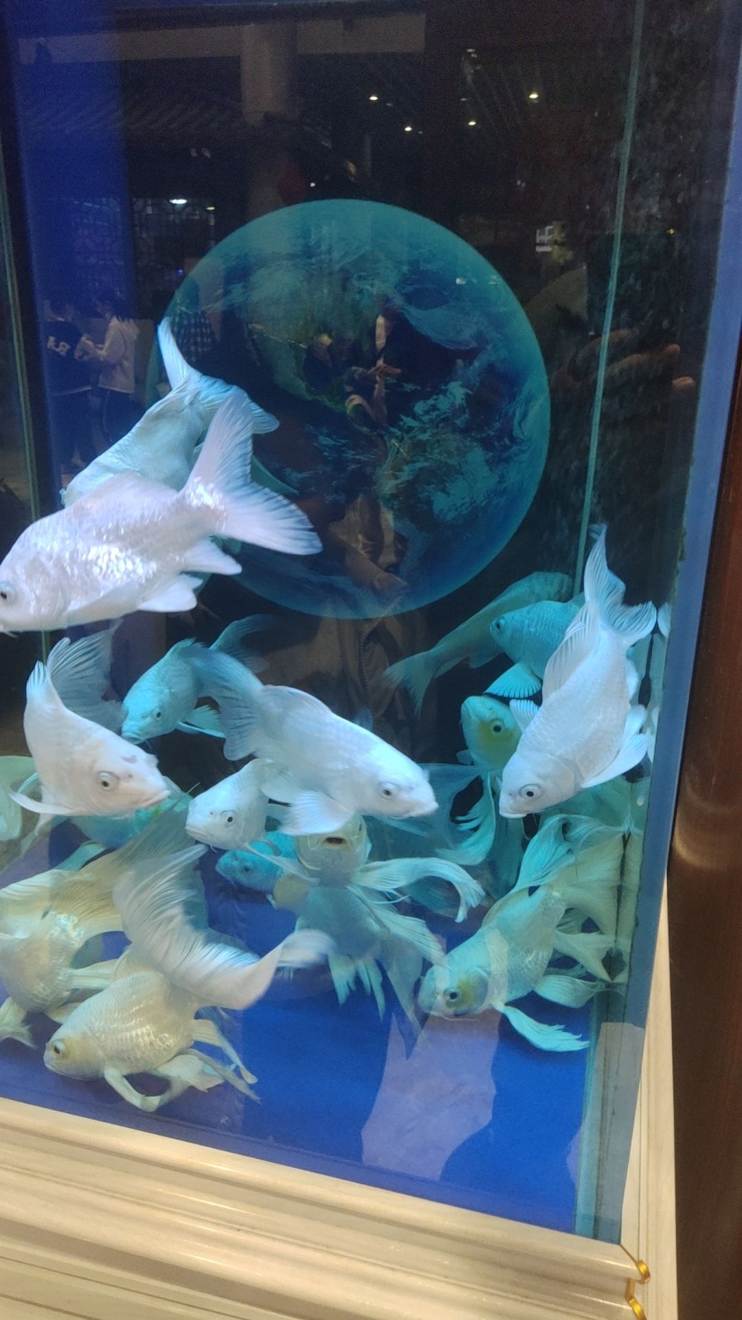 花都汇生态公园