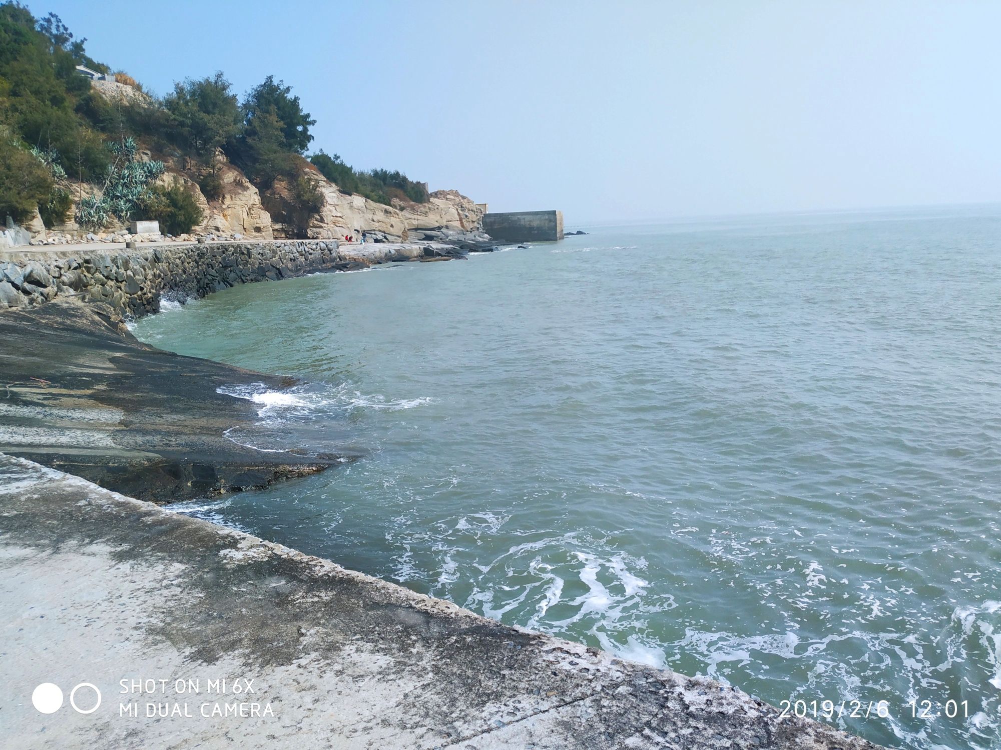 爱情海旅行图片