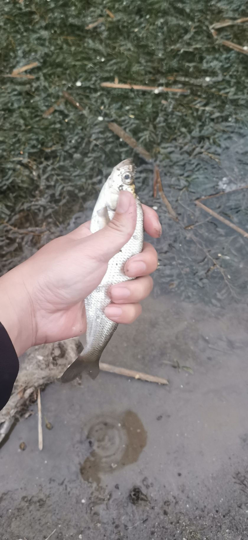 状元湖