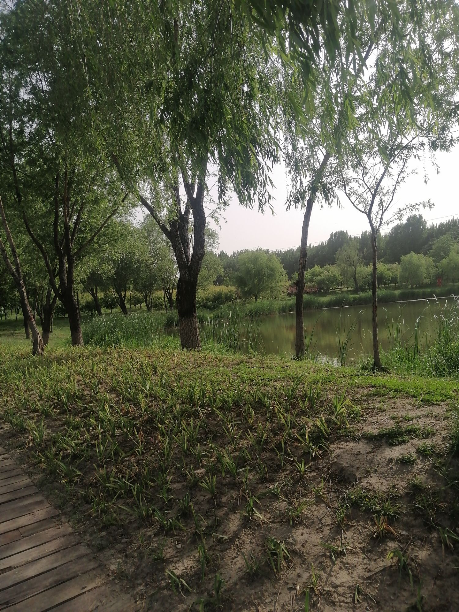杏花沟生态公园
