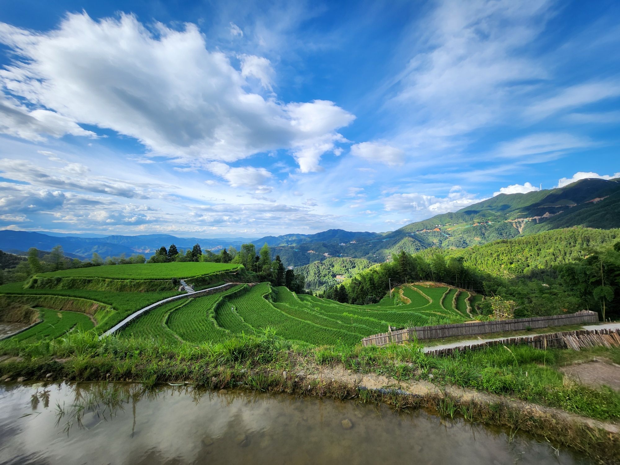 桃源梯田旅行图片