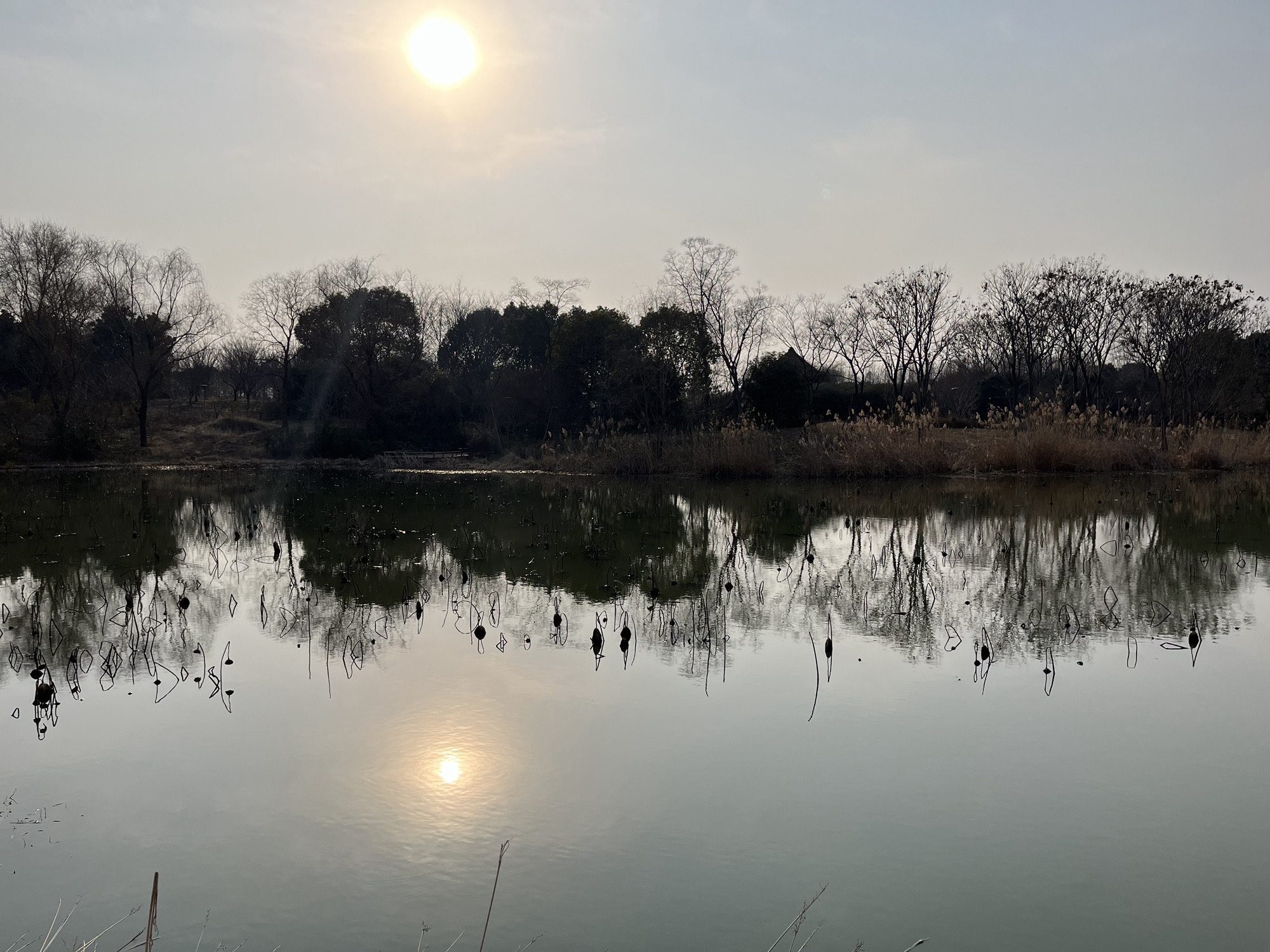 滁州花博园旅行图片