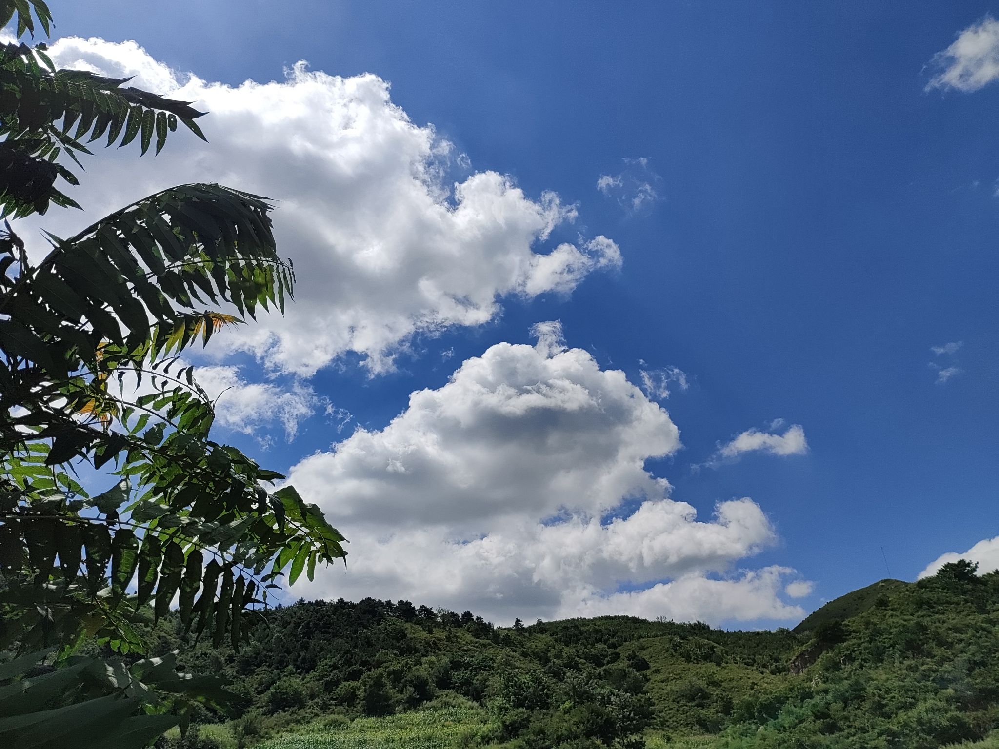 龙王山水庄园(暂停开放)