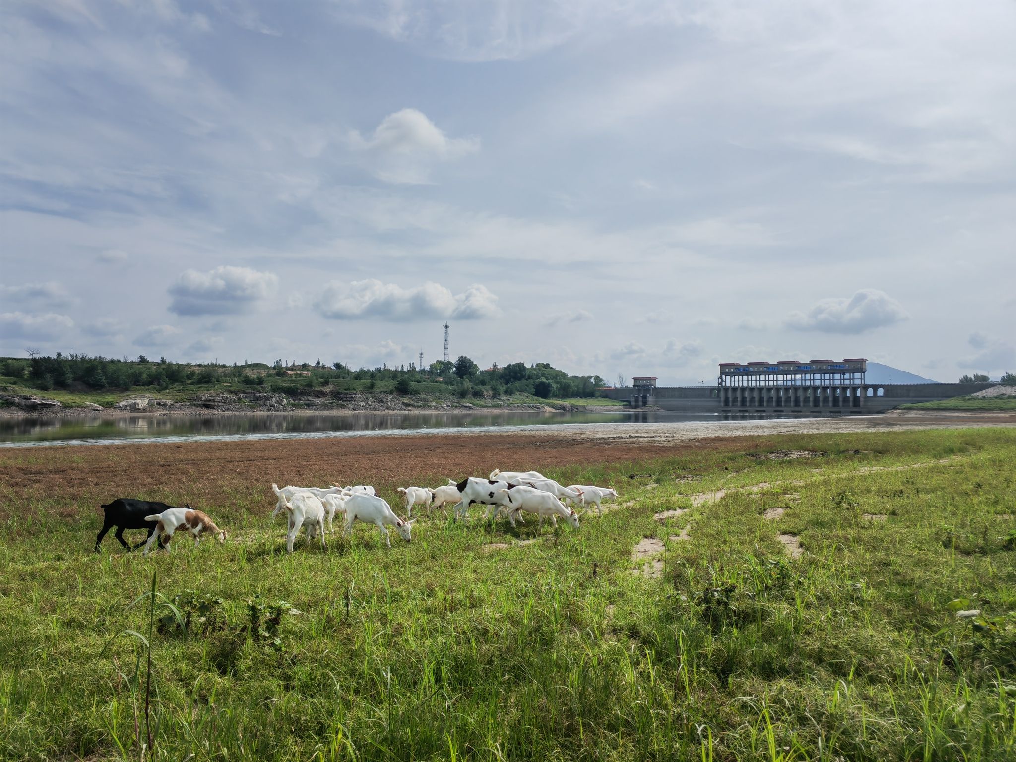洋河水库