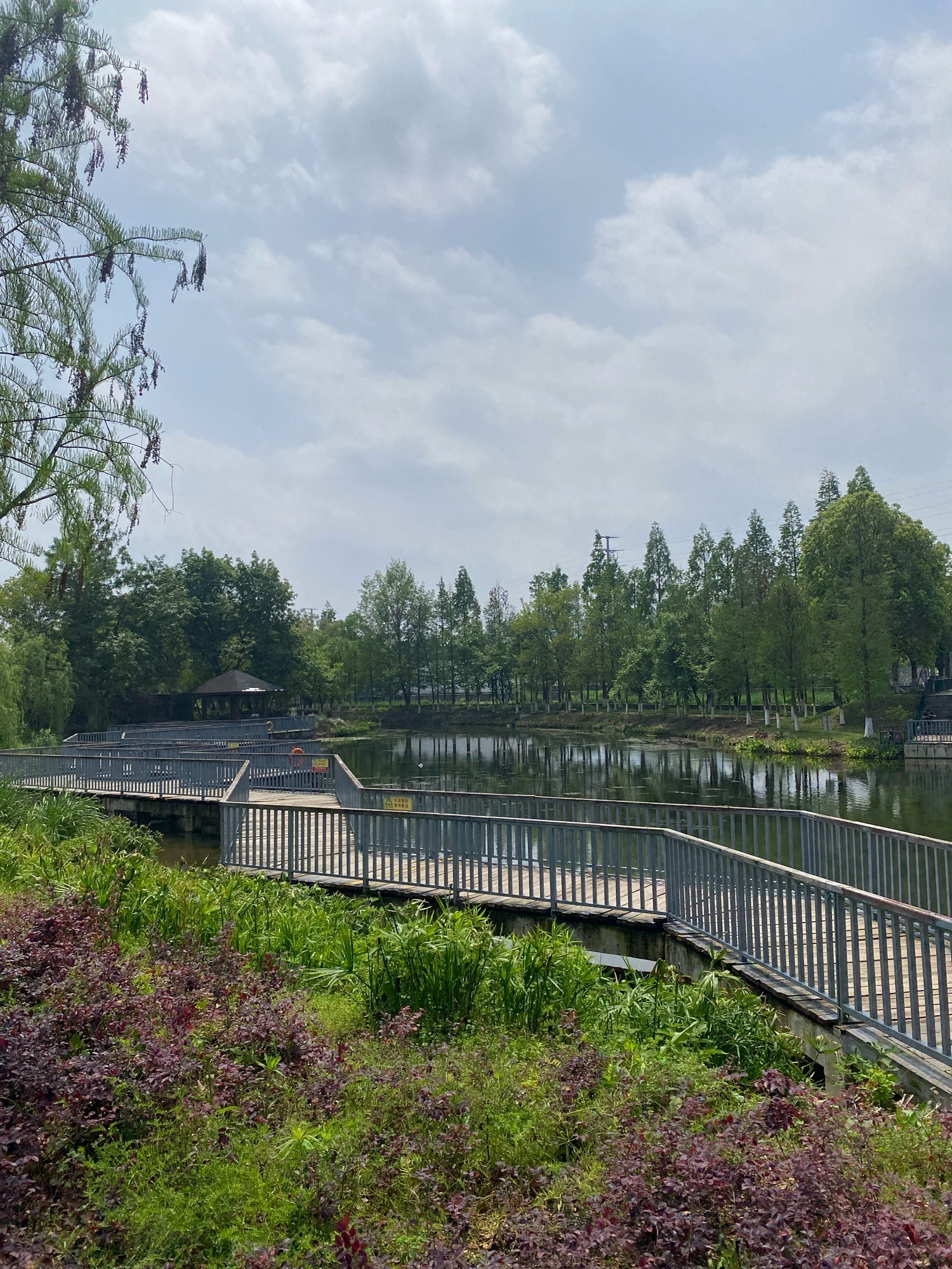 东阳市湿地公园
