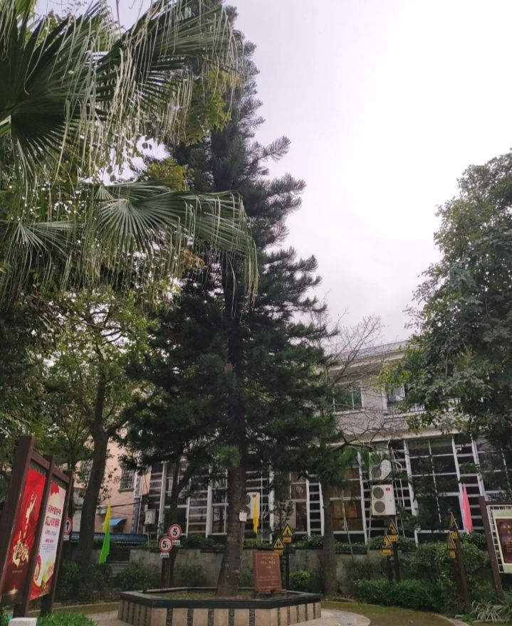 鸿渐公园旅行图片