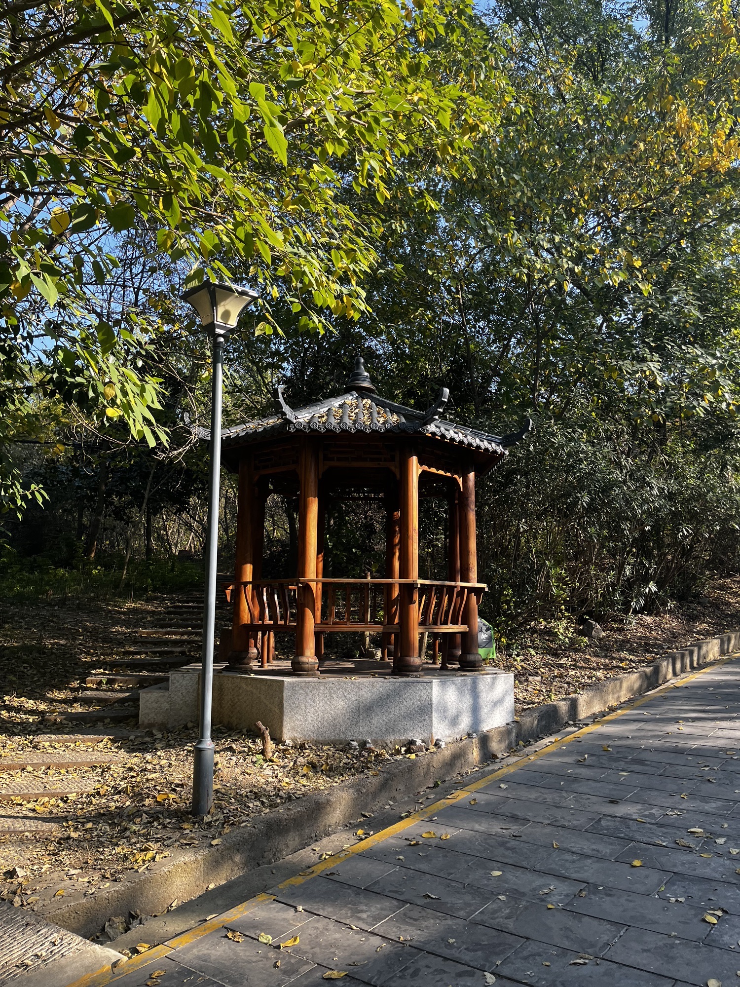 舜耕山风景区旅行图片