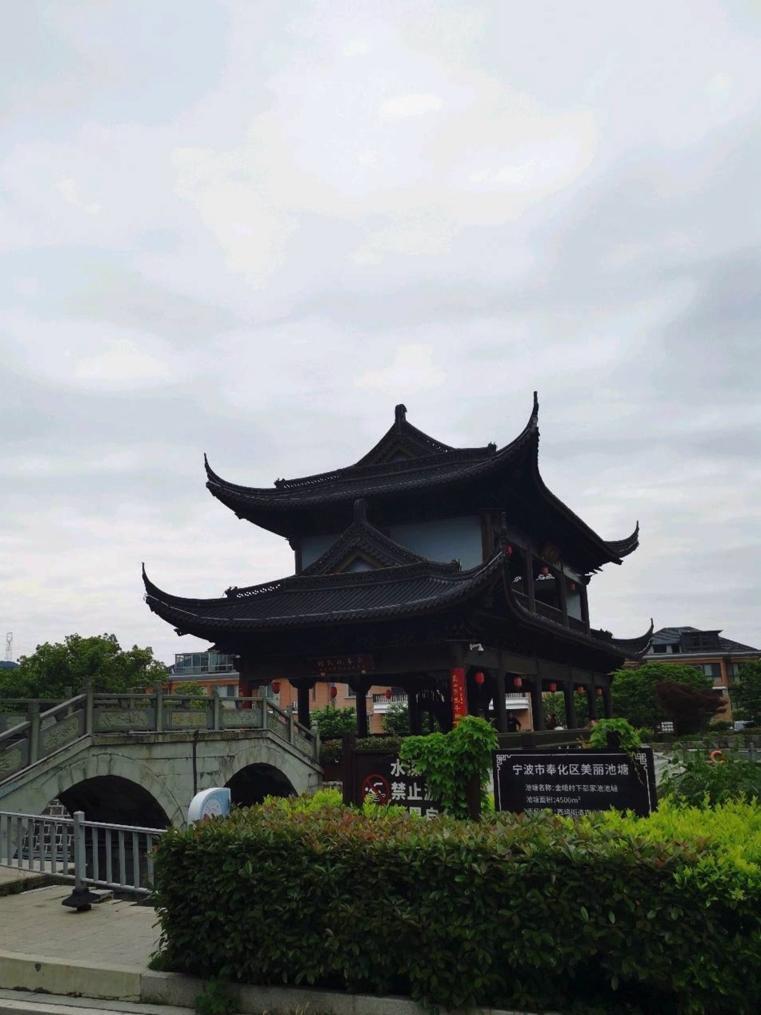 金峨山杜鹃林