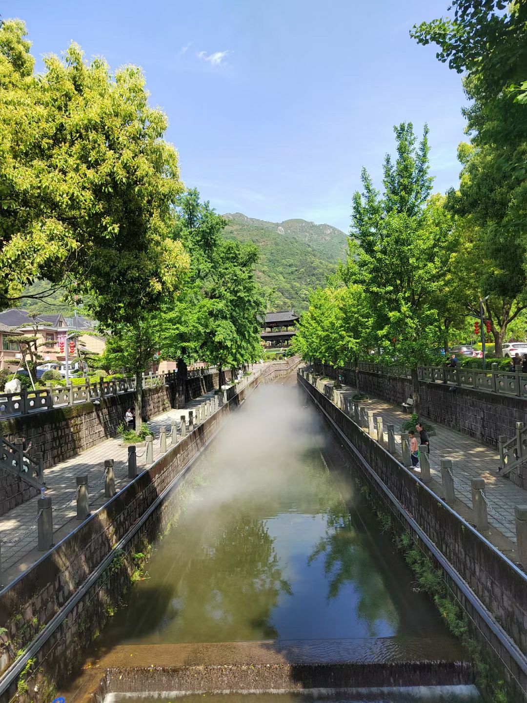 金峨山杜鹃林旅行图片