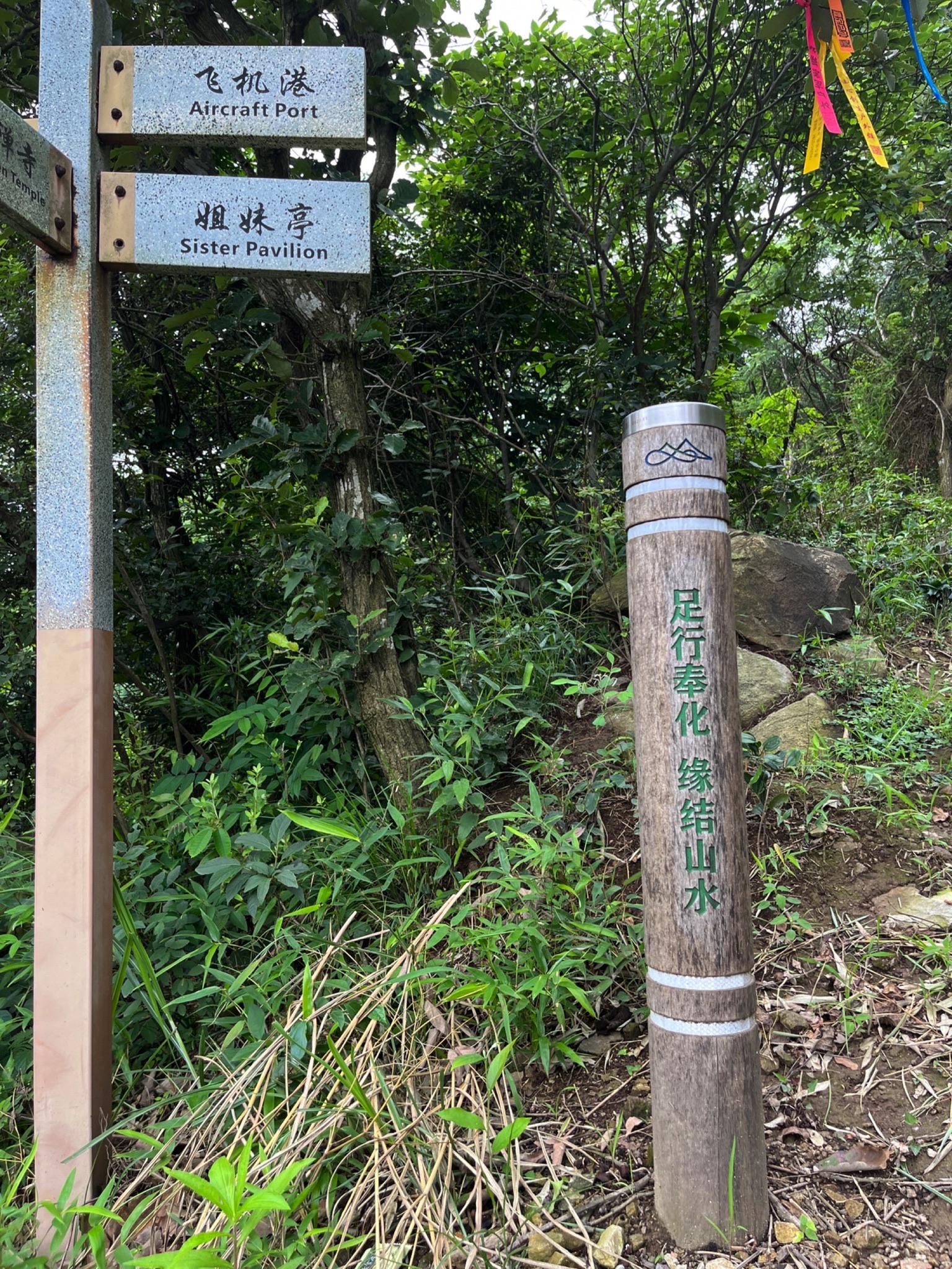 金峨山杜鹃林旅行图片