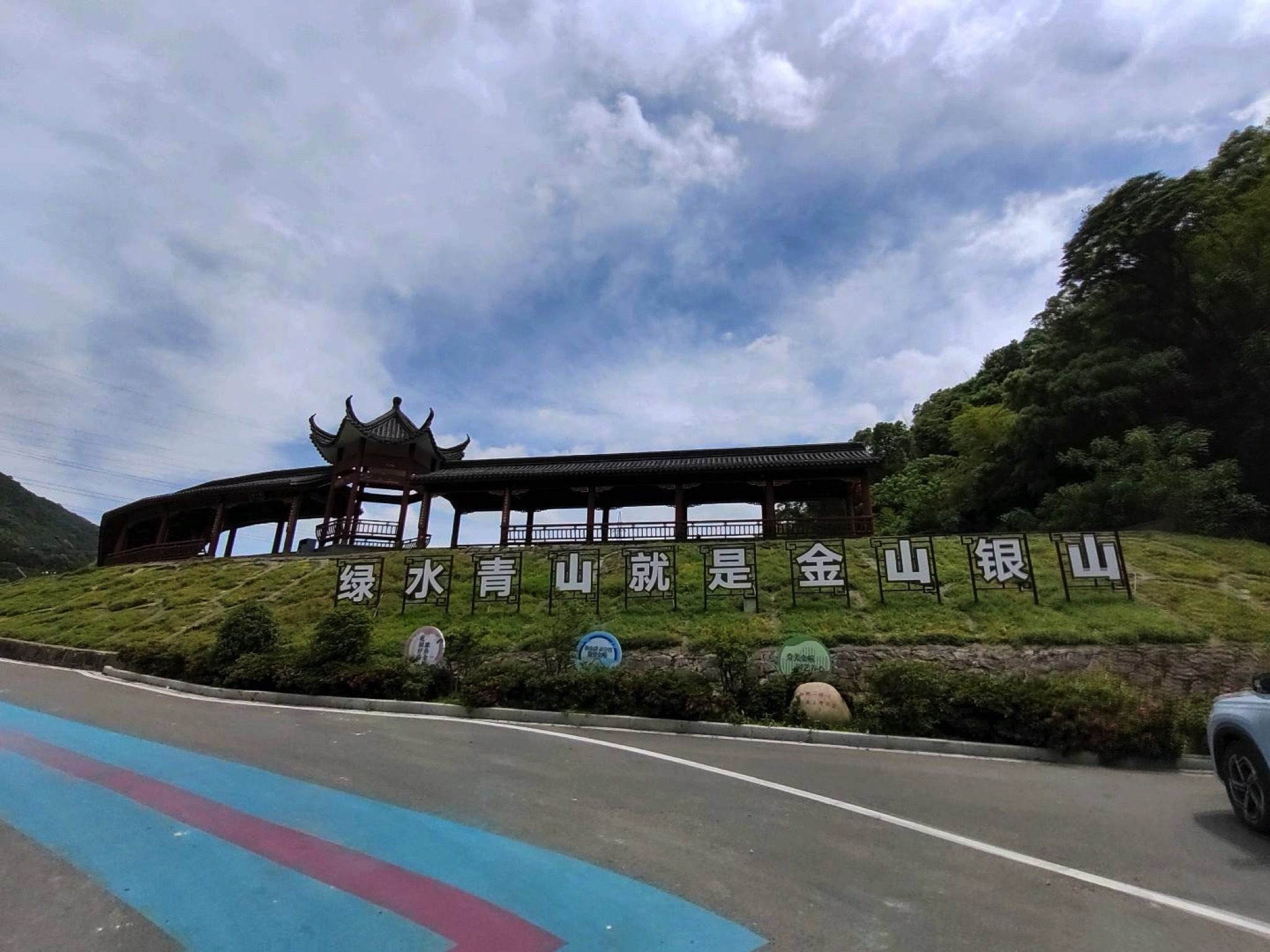 金峨山杜鹃林旅行图片
