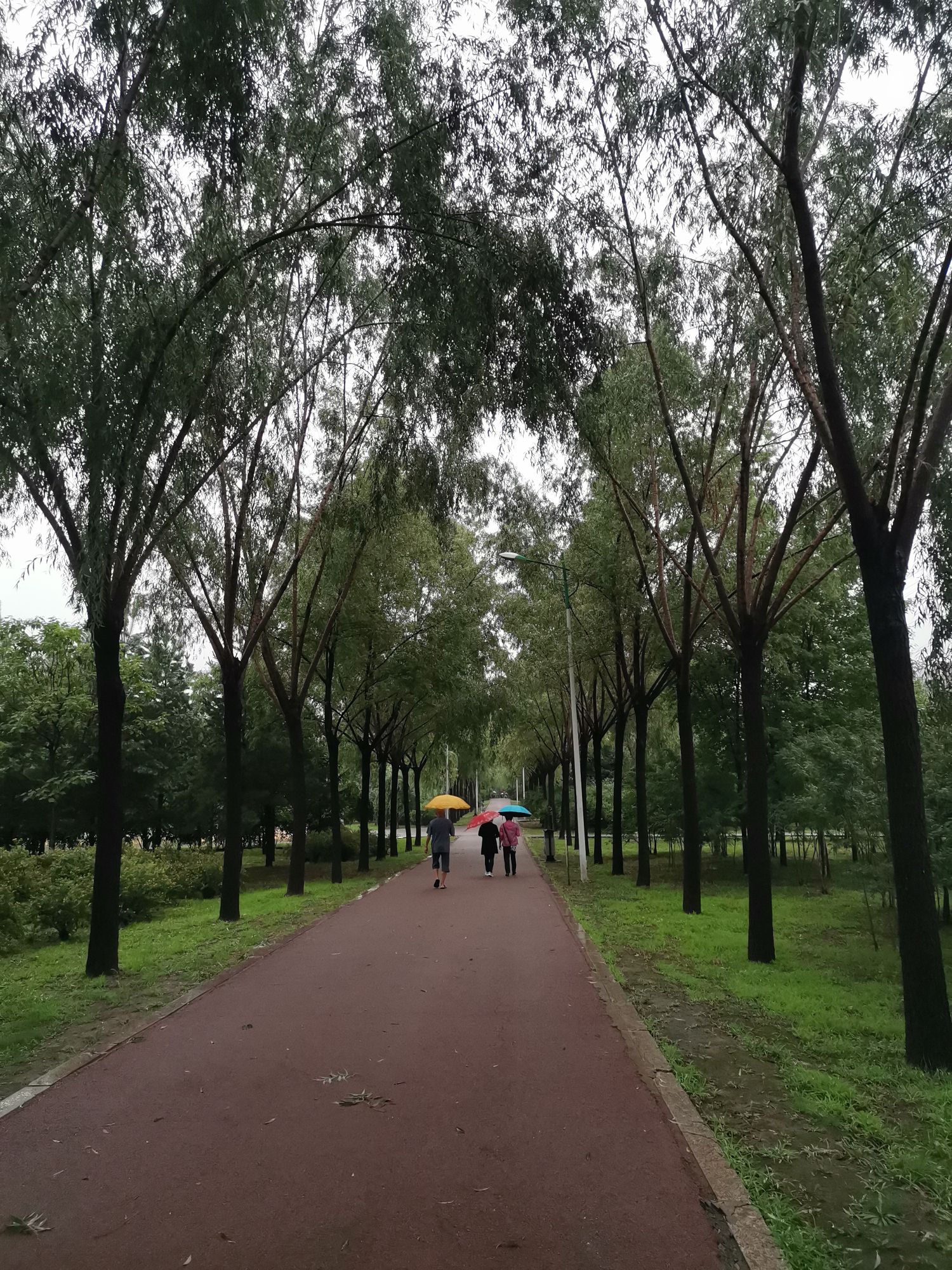 香清园