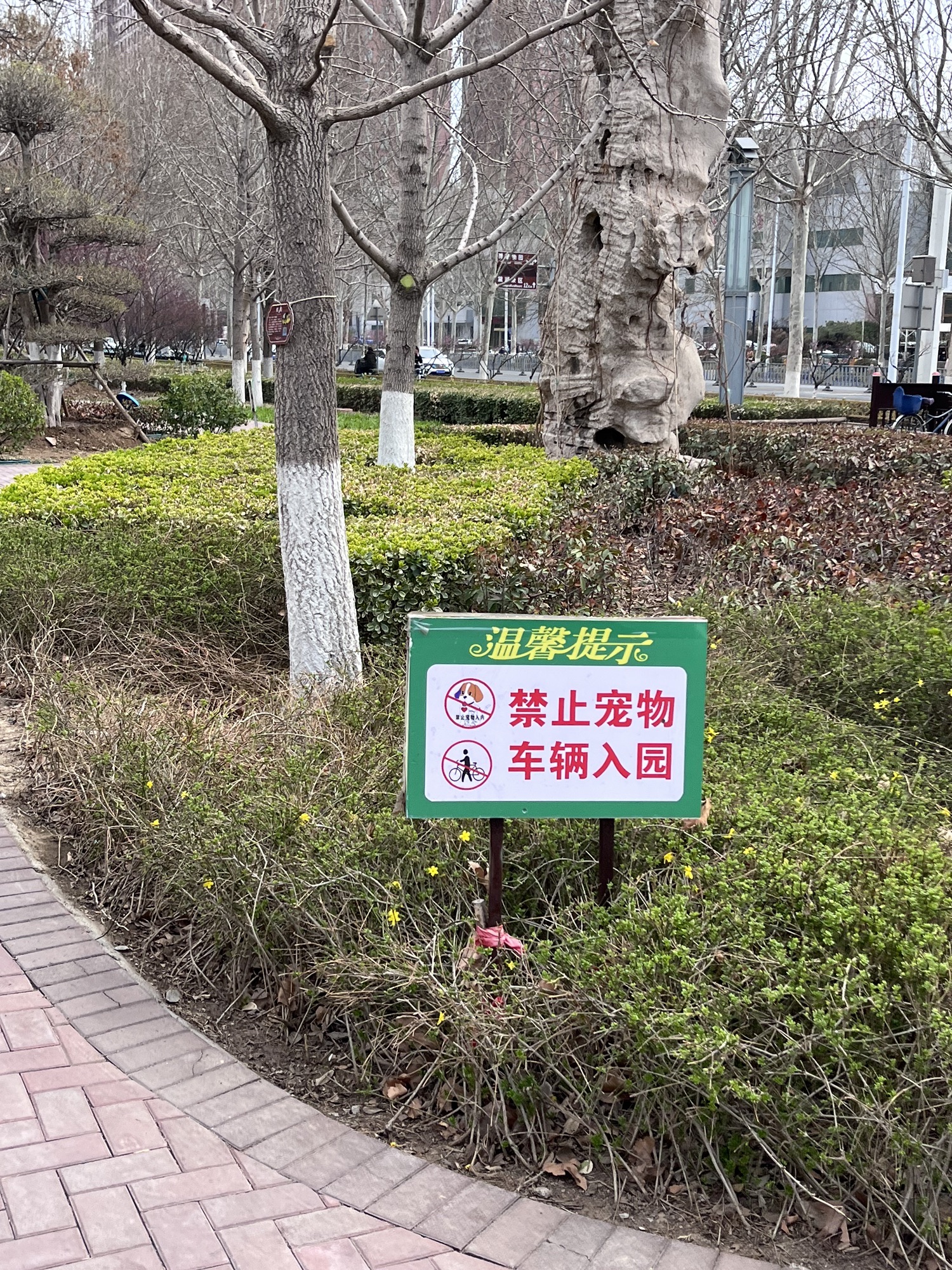 张店市民公园