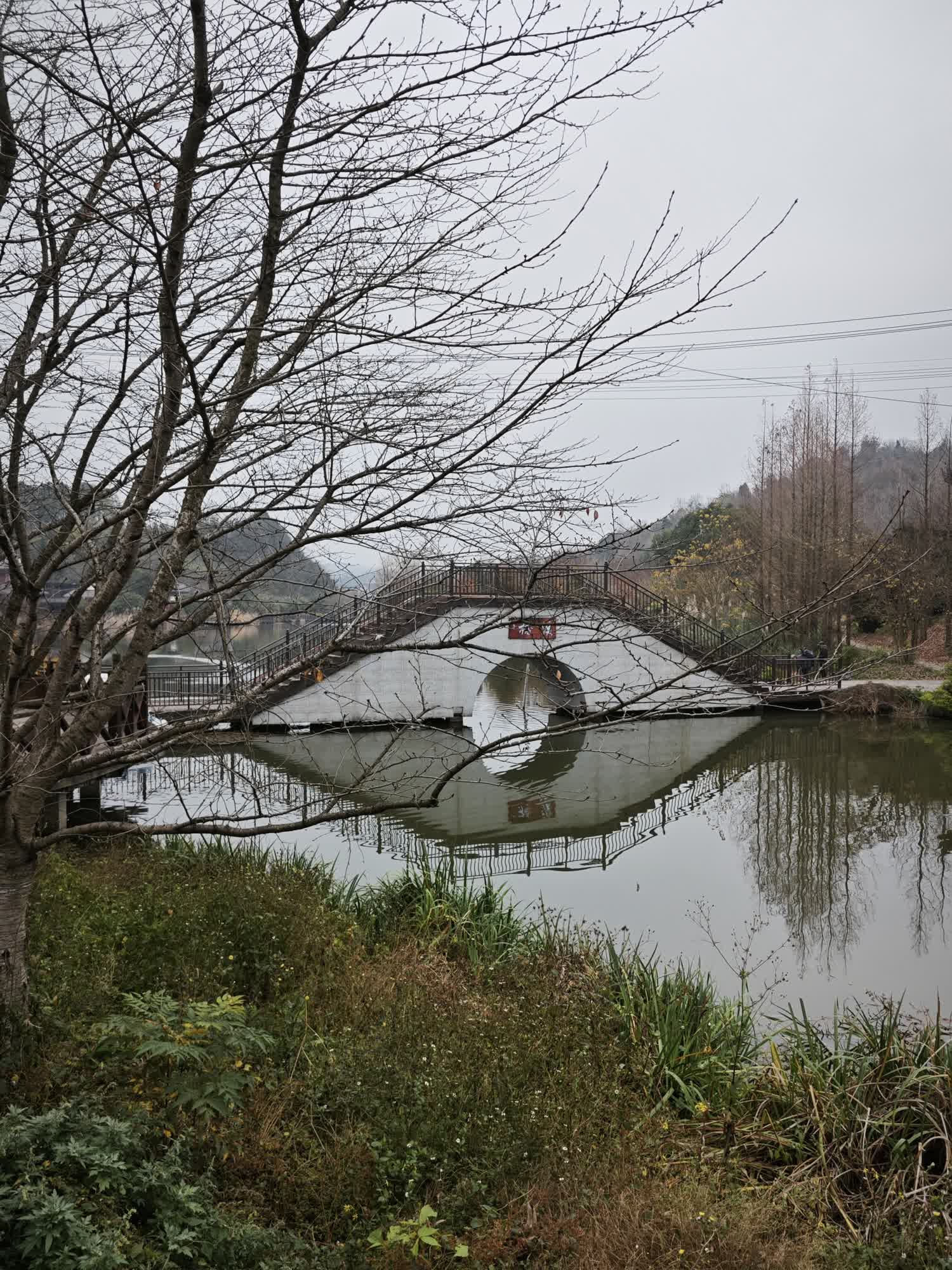 深溪莲池湿地公园旅行图片