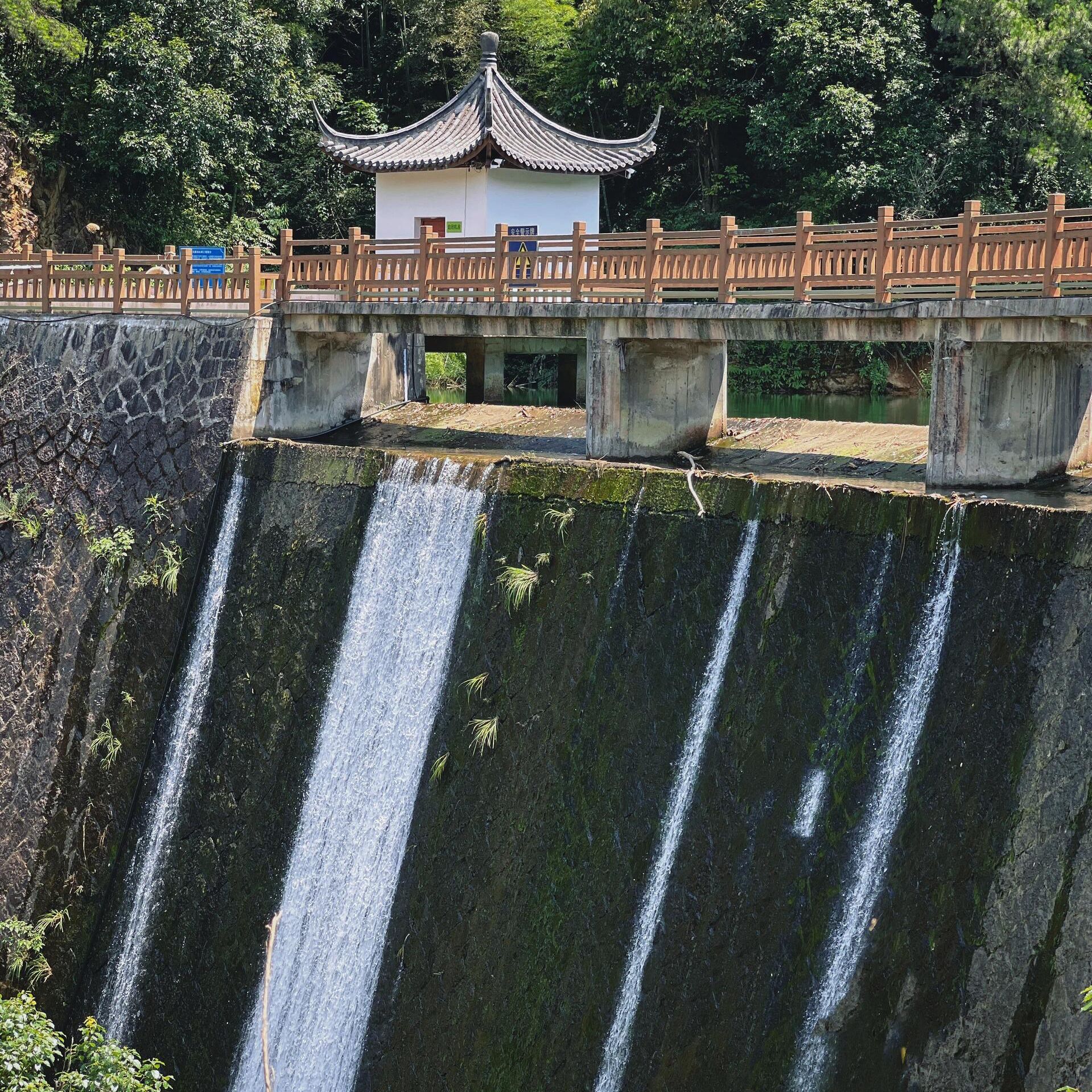 皇岗山公园旅行图片