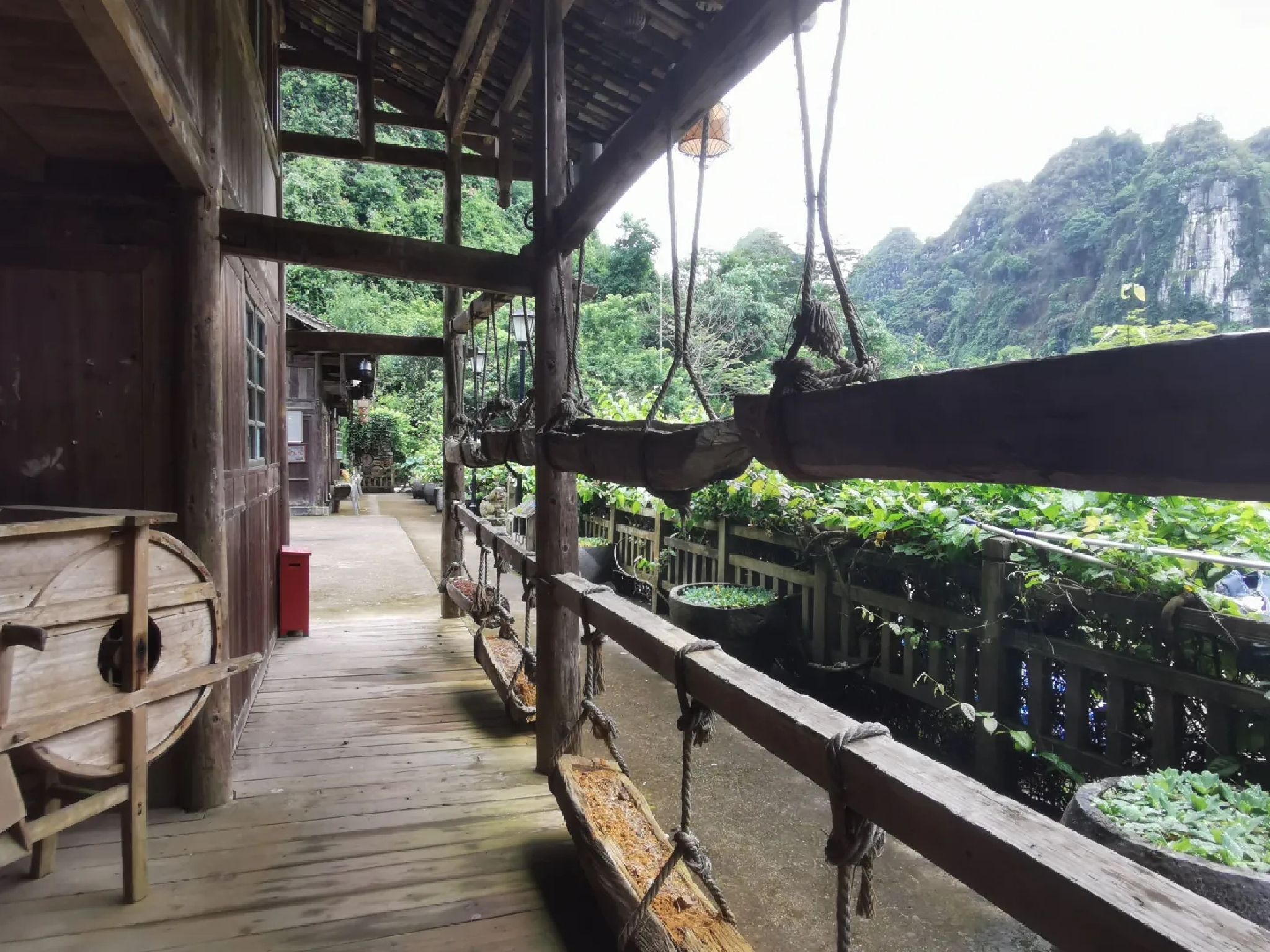 龙州老木棉发现·弄岗景区旅行图片