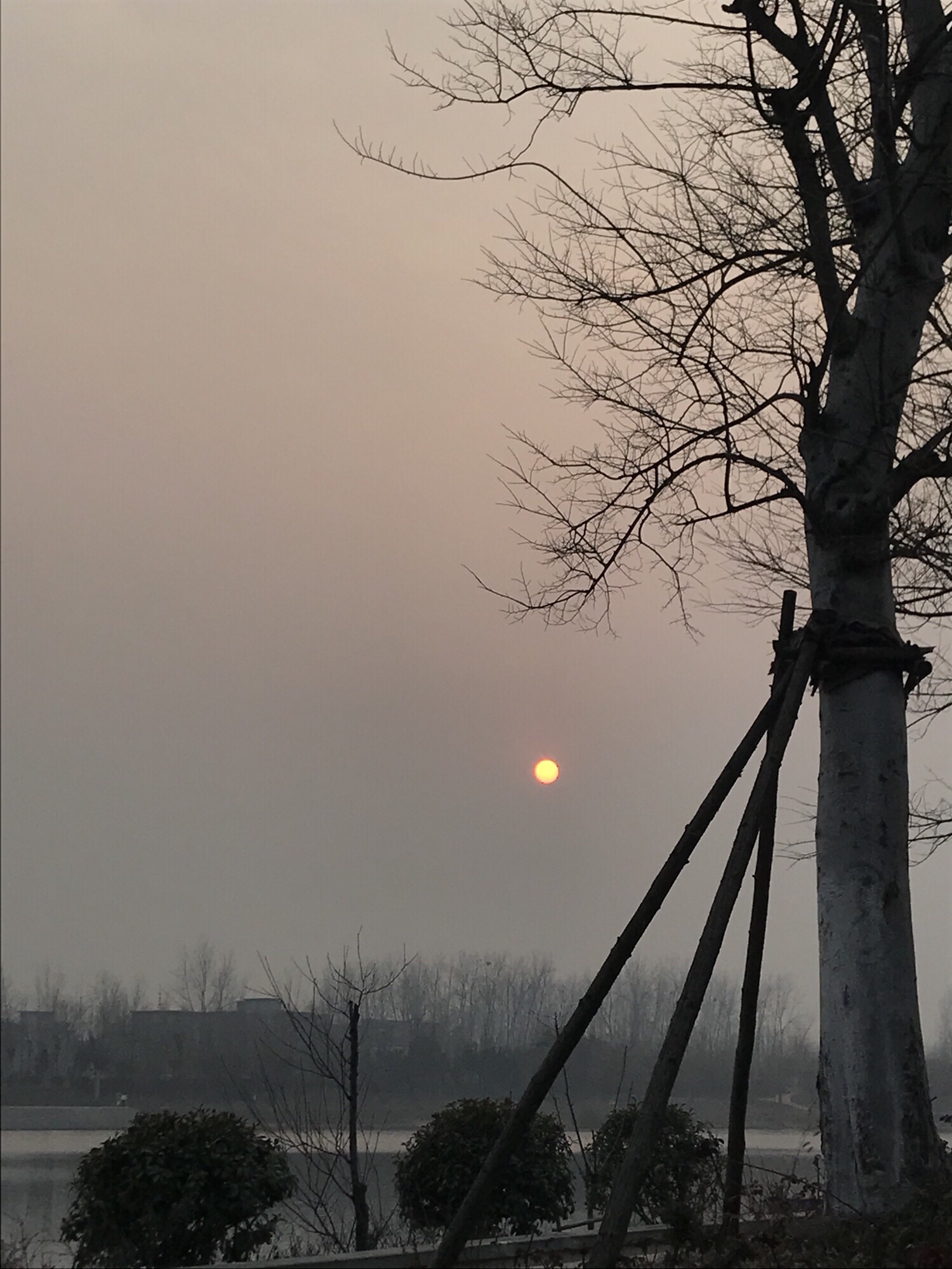 南湖公园旅行图片