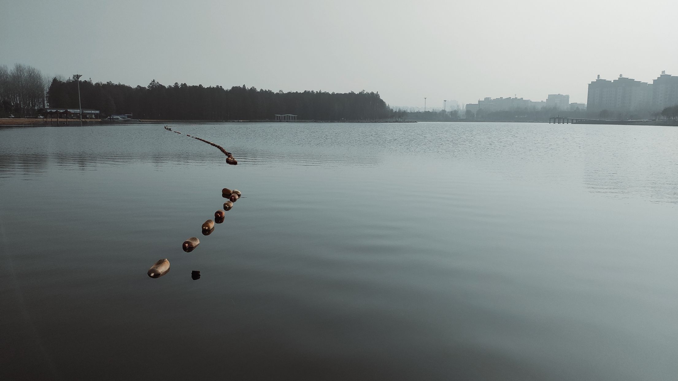南湖公园旅行图片
