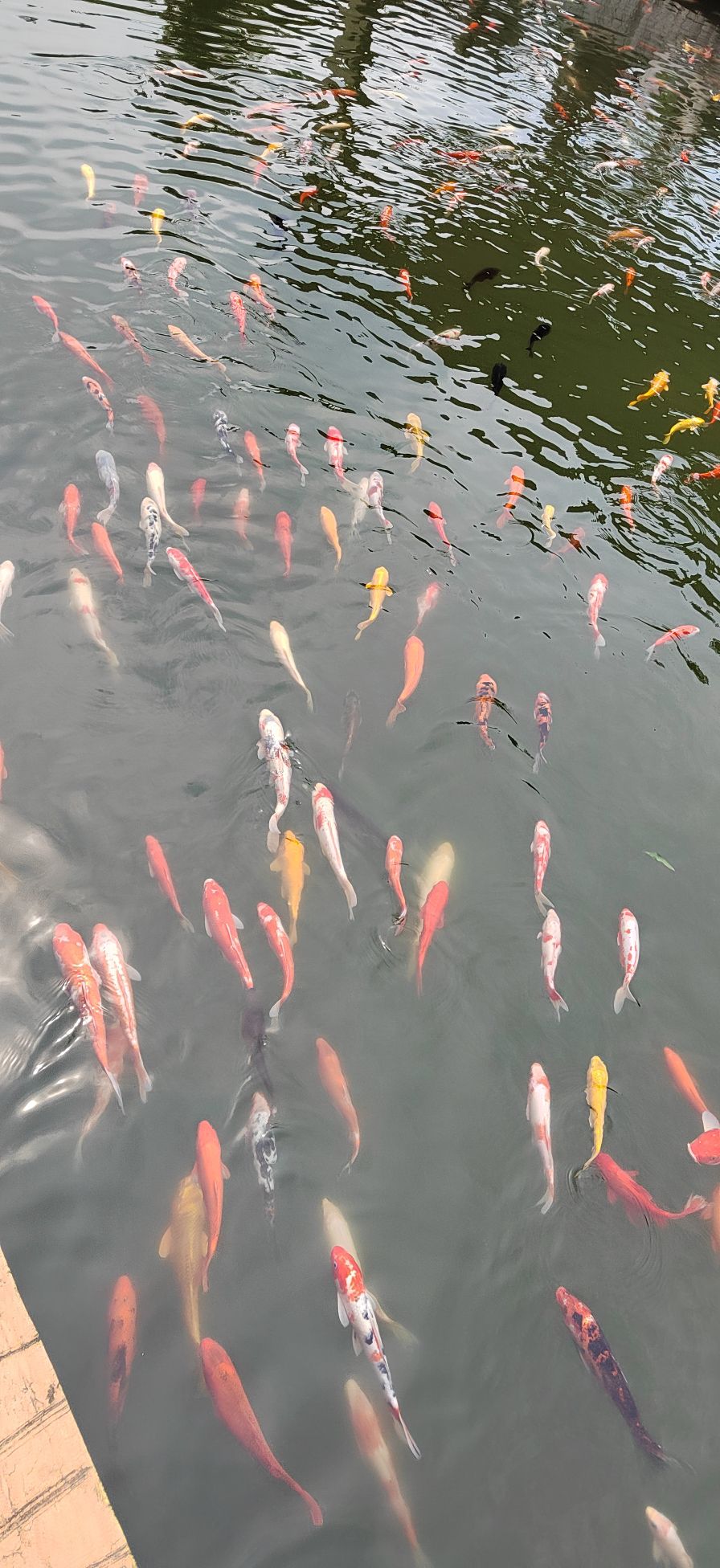 中国兰陵压油沟风景区
