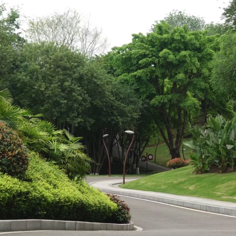 香河幸福公园