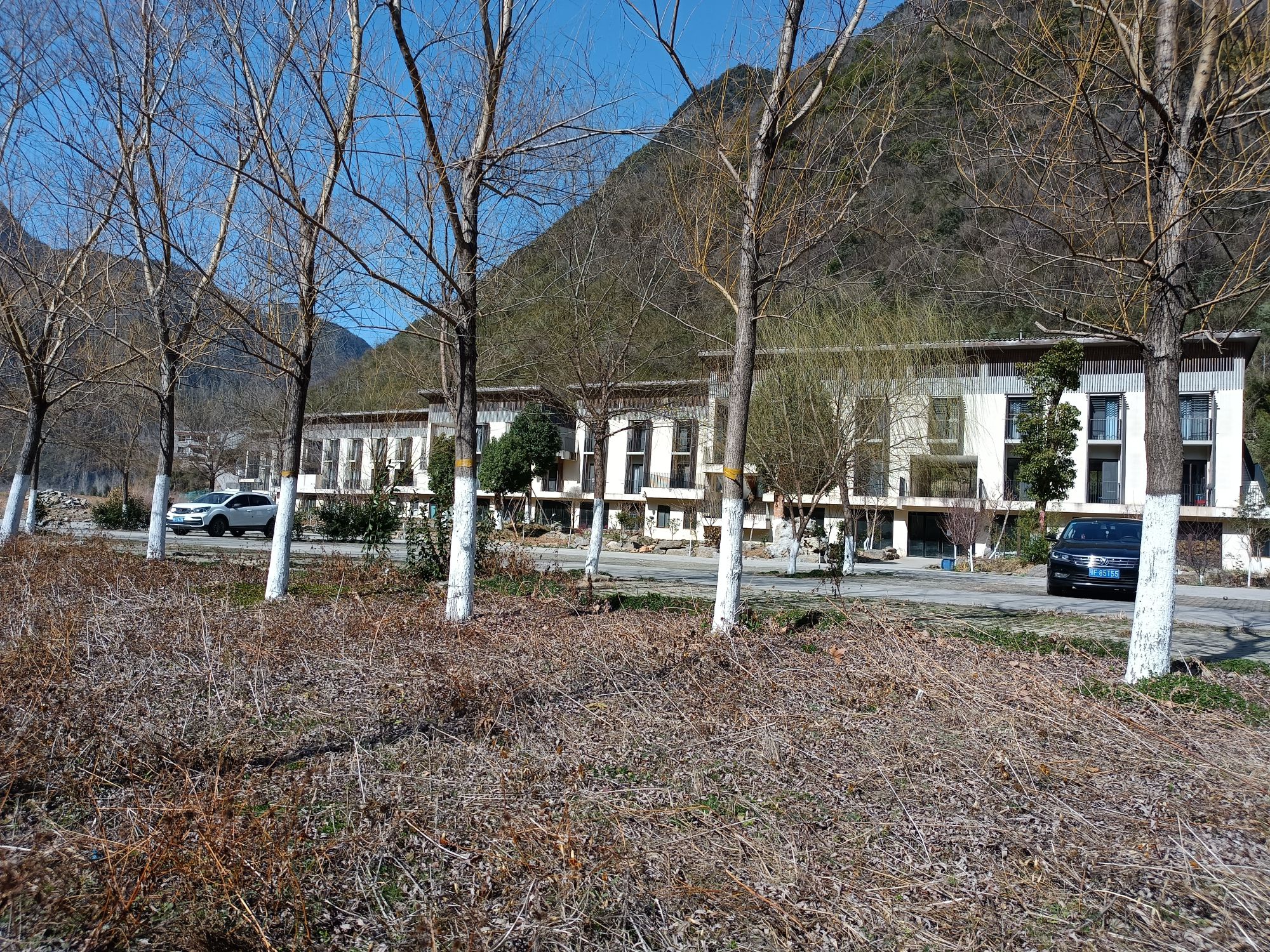 蜡梅谷