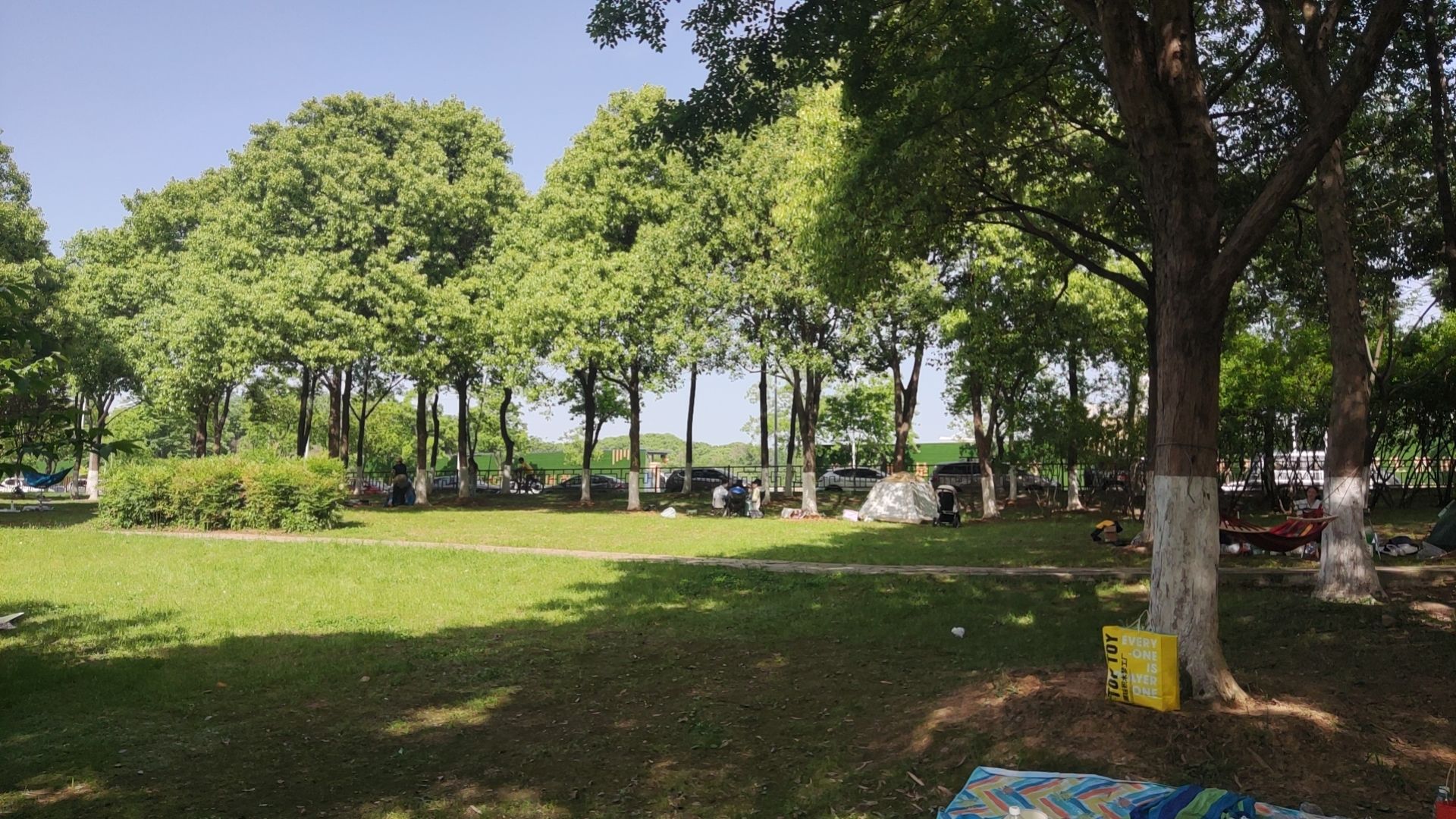 花山生态湿地公园