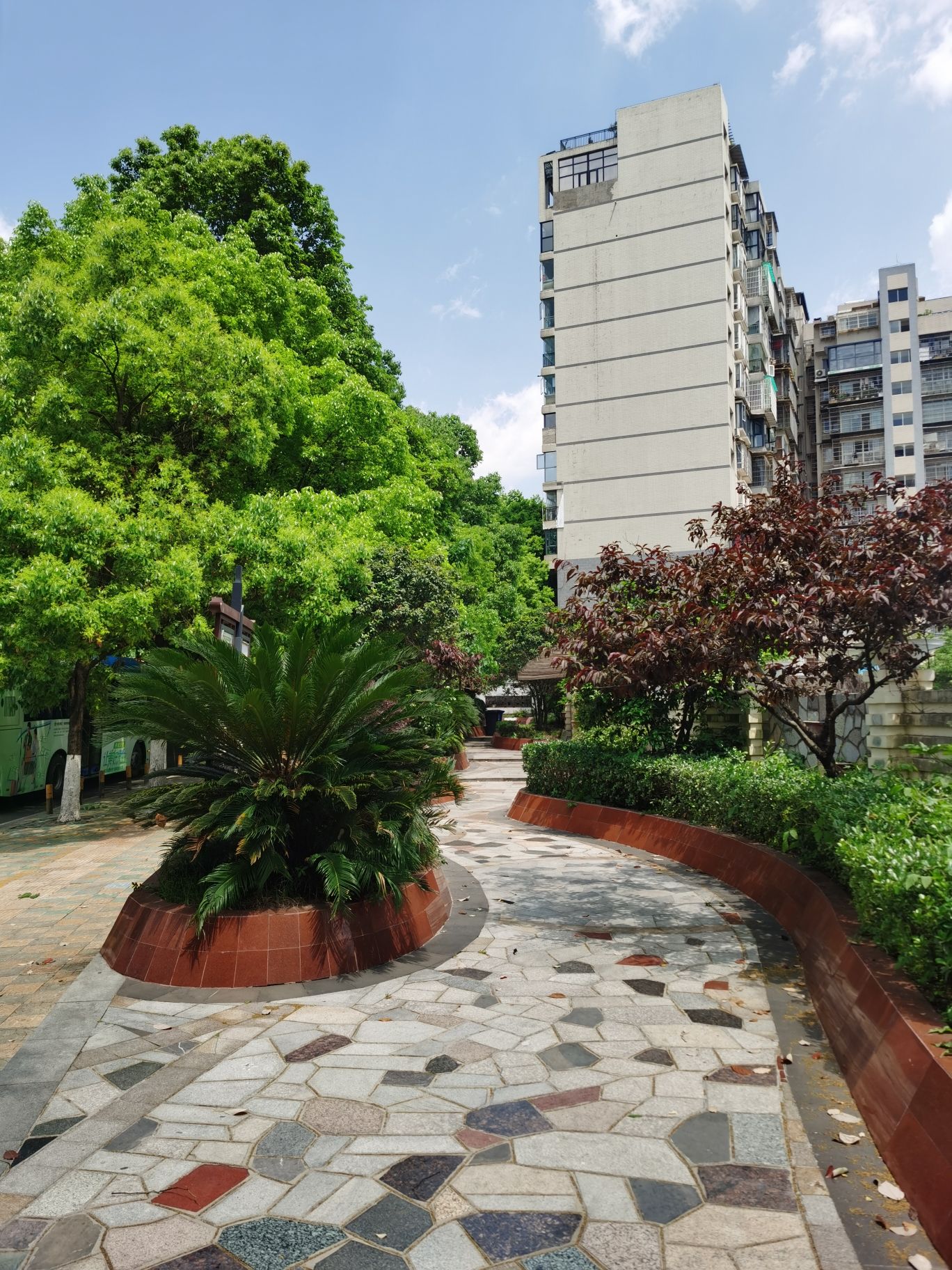 花卉广场城市公园