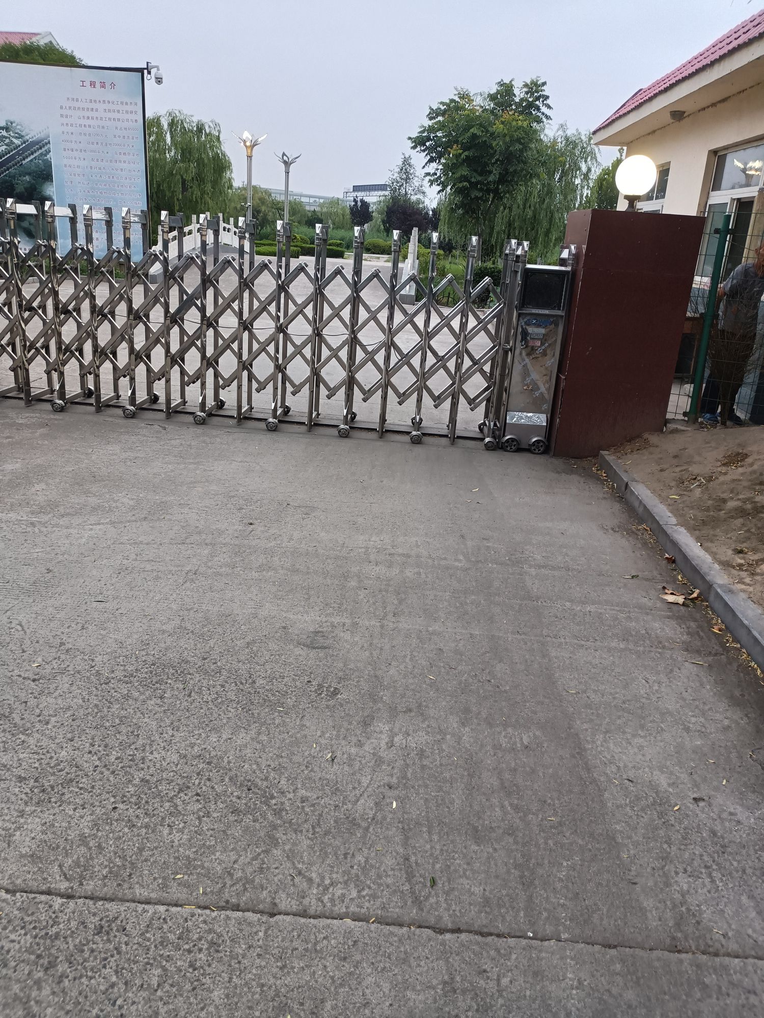 齐河县人工湿地公园