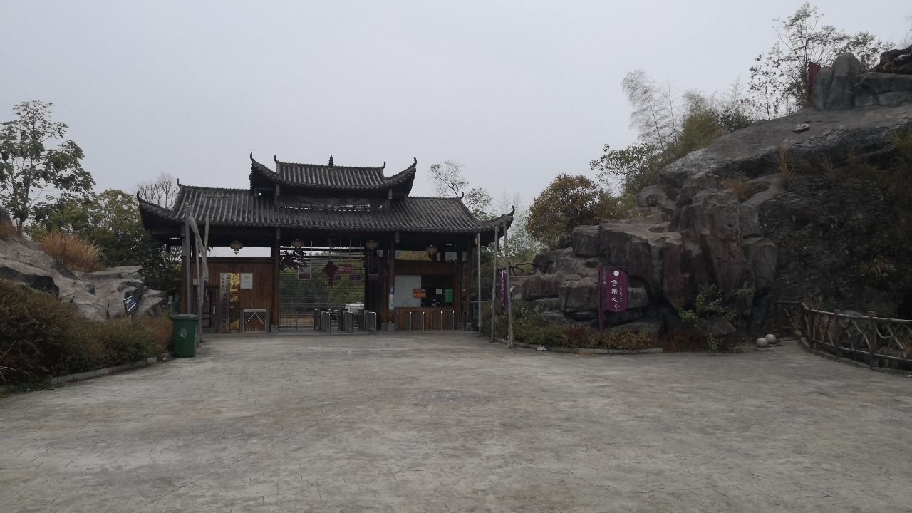 嗨花弄旅行图片