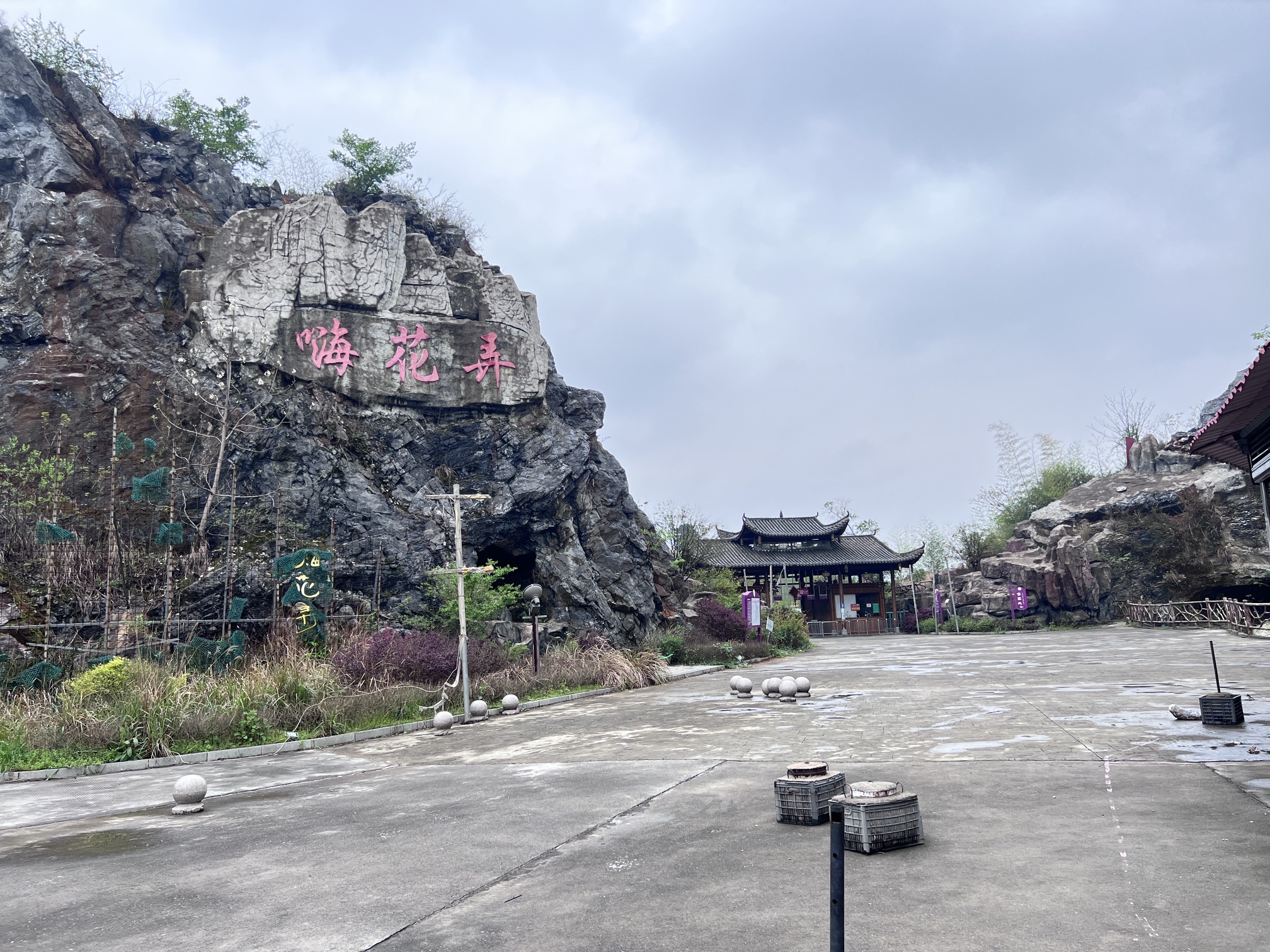 嗨花弄旅行图片