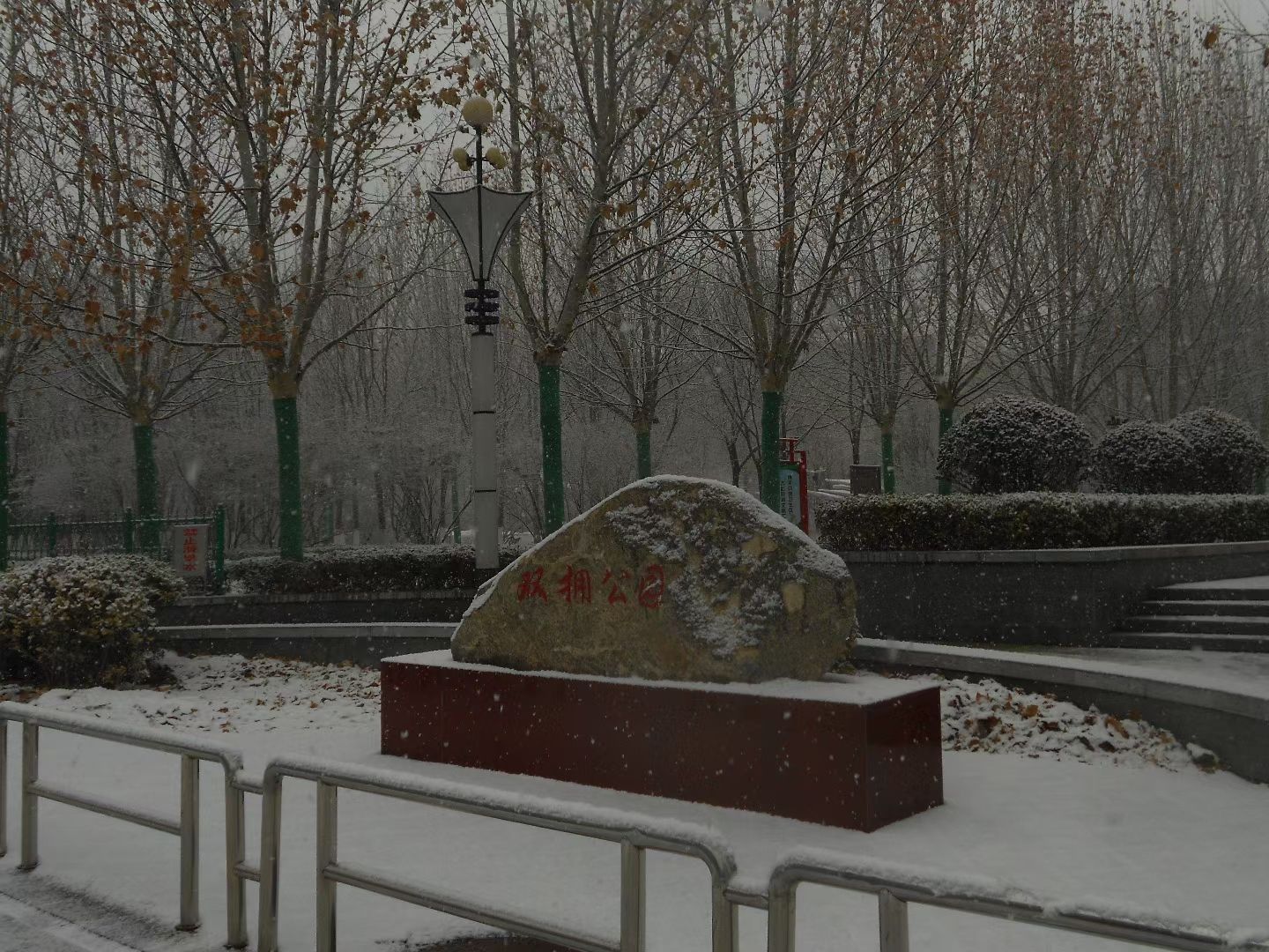 春曦公园