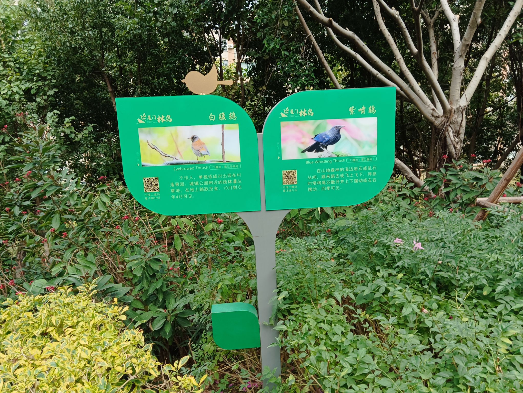 虎头山公园旅行图片