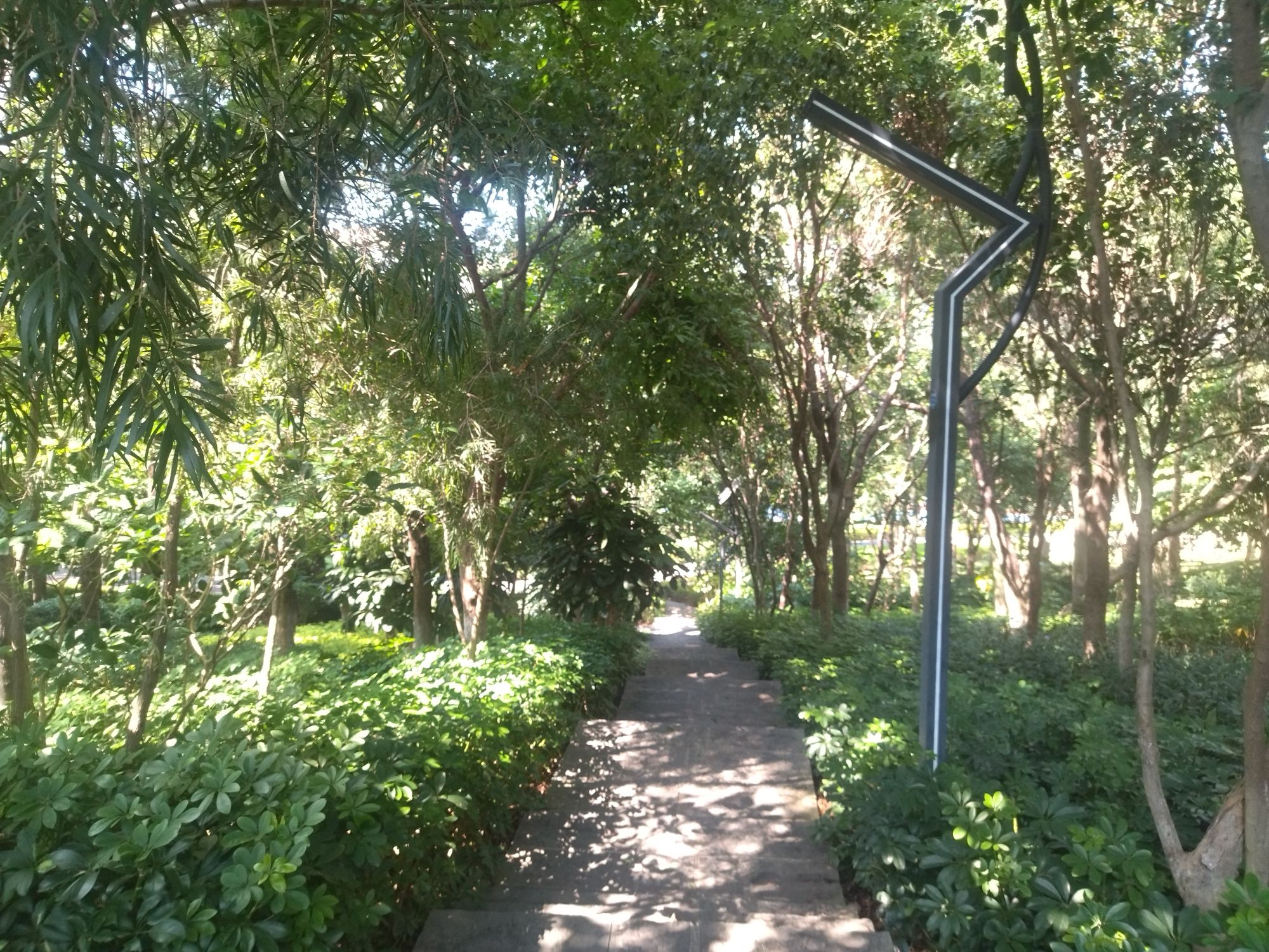 虎头山公园旅行图片