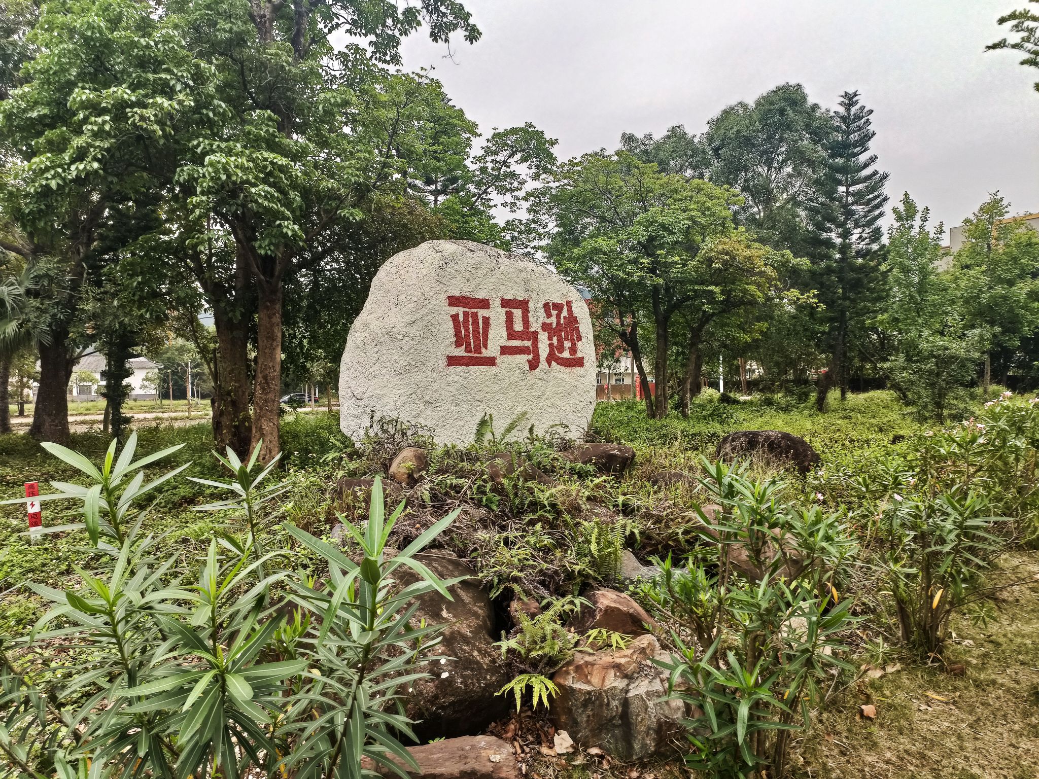 悠然谷旅行图片