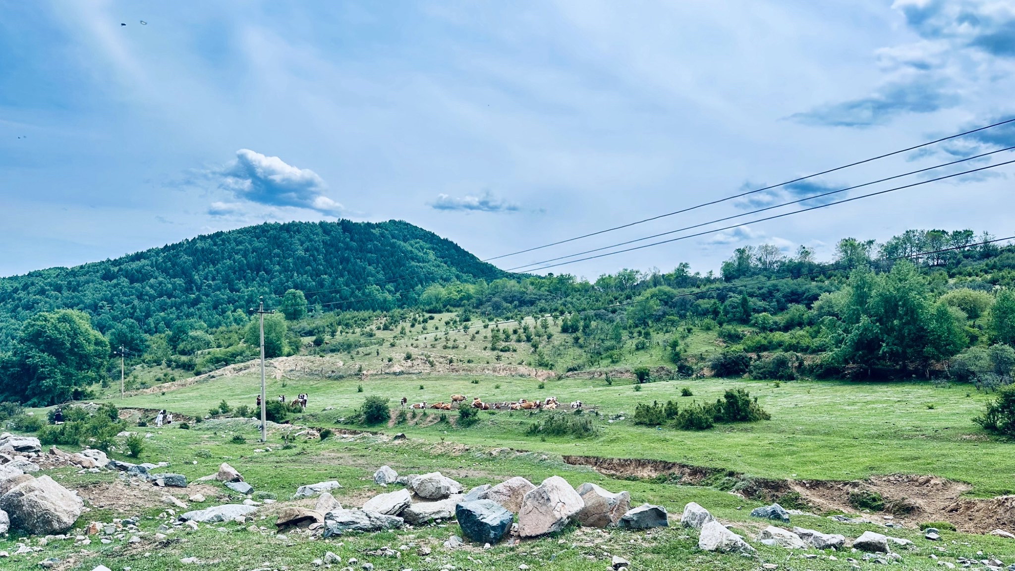 云顶山风光旅行图片