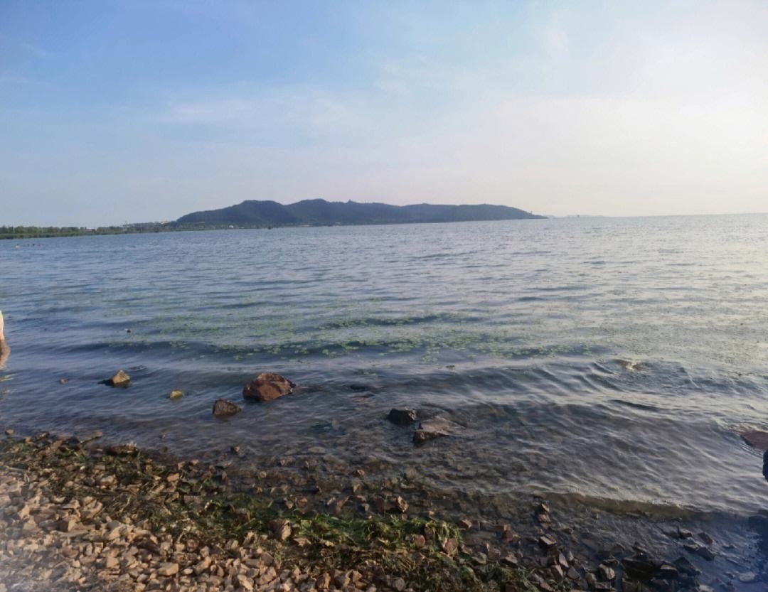 丽波湾旅行图片