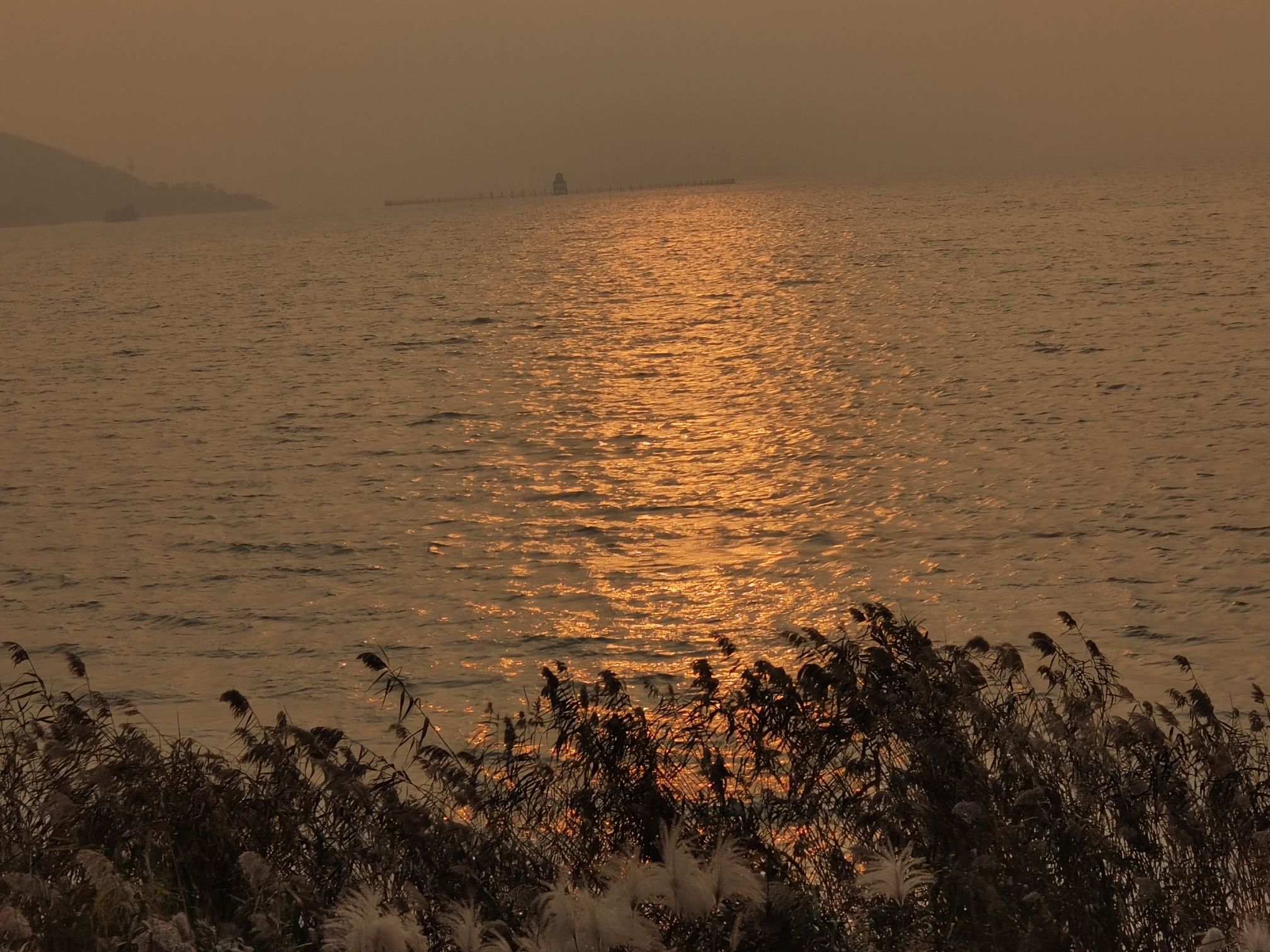 丽波湾旅行图片